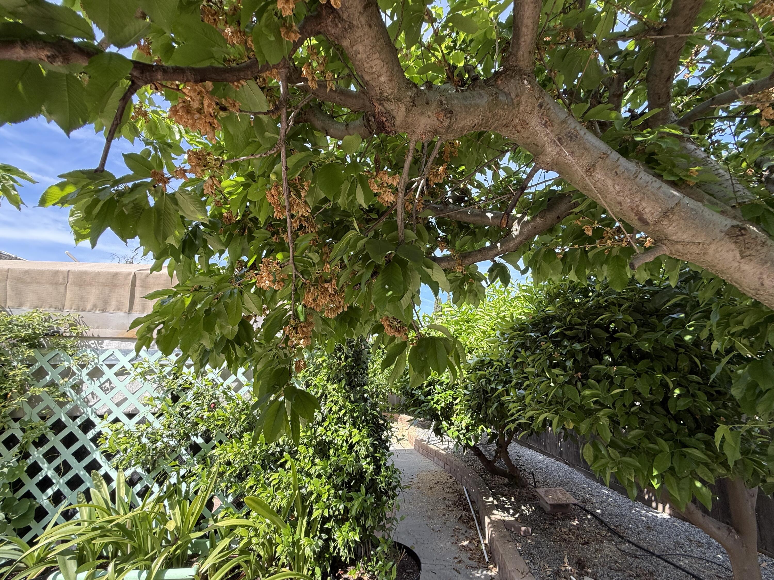 1047 S Linwood St, Visalia, CA 93277