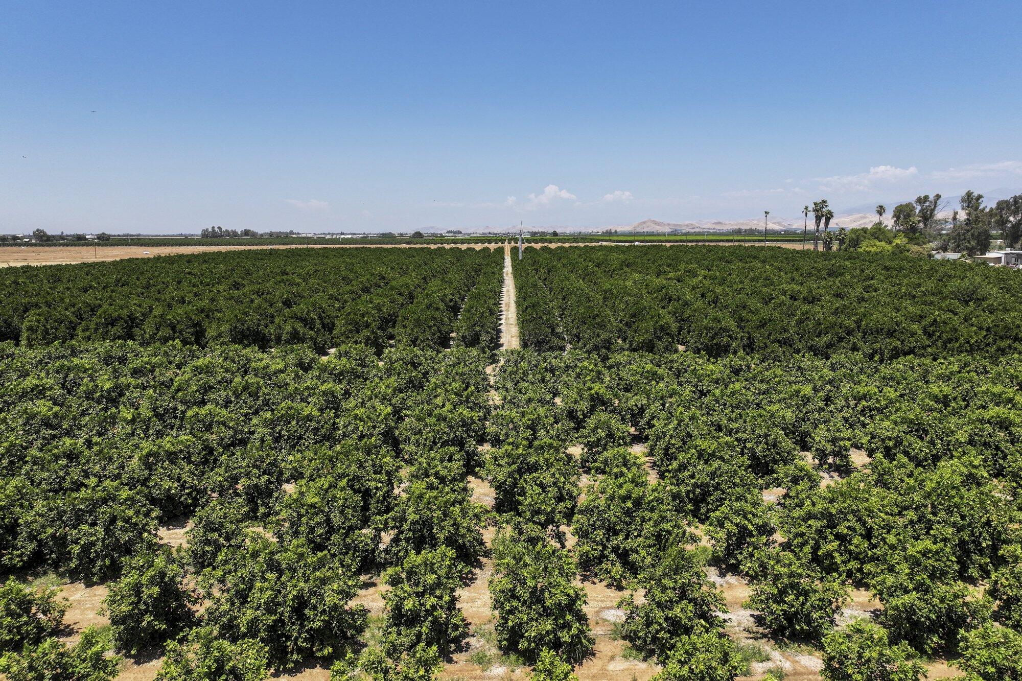 0 Newcomb St, Porterville, CA 93257