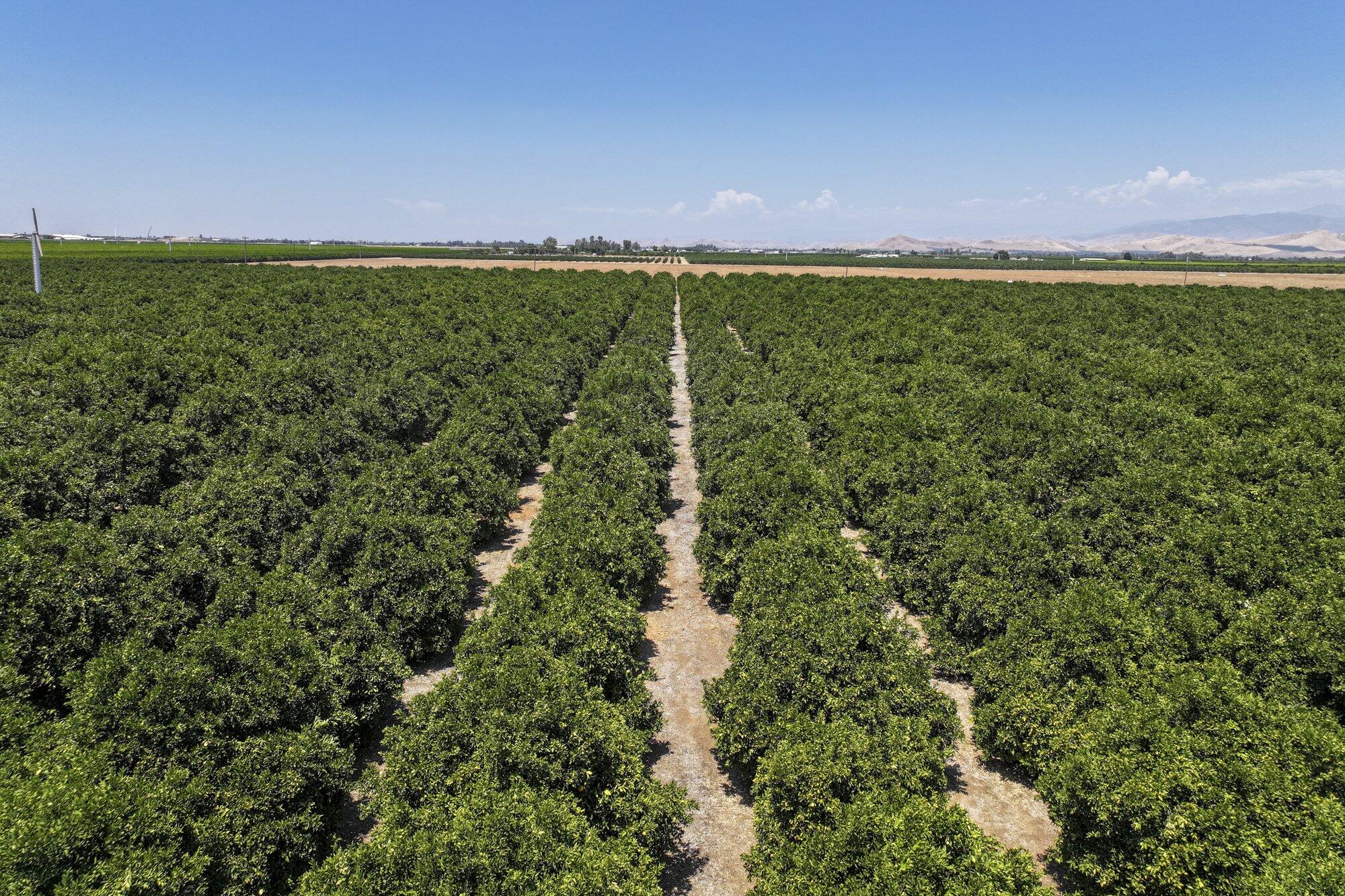 0 Newcomb St, Porterville, CA 93257