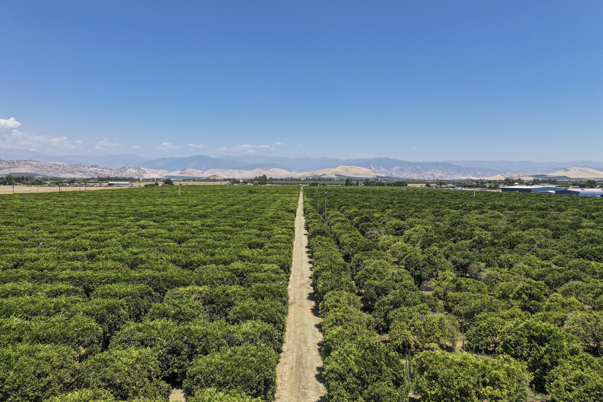 0 Newcomb St, Porterville, CA 93257