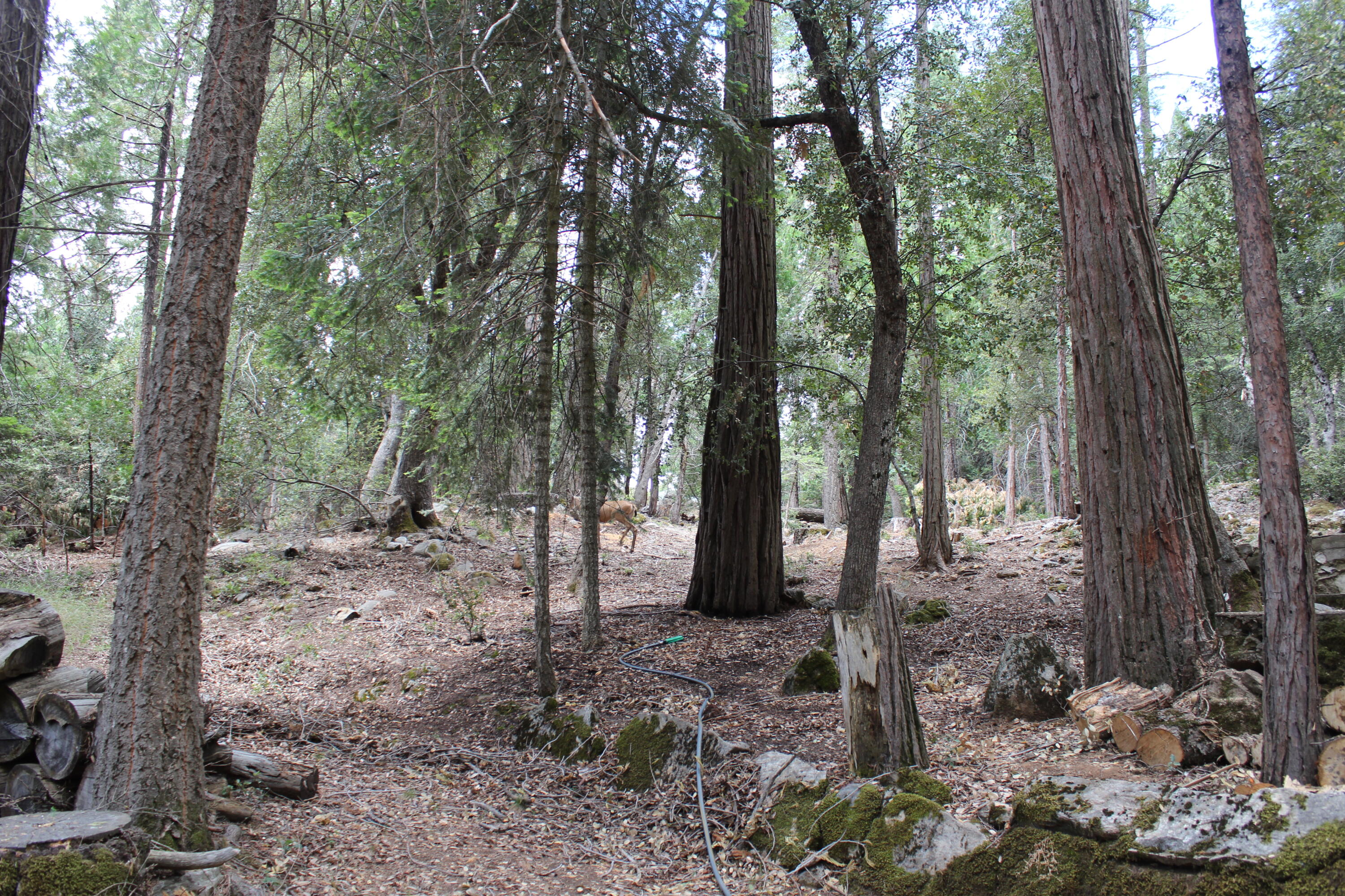 565 Trails End, Springville, CA 93265