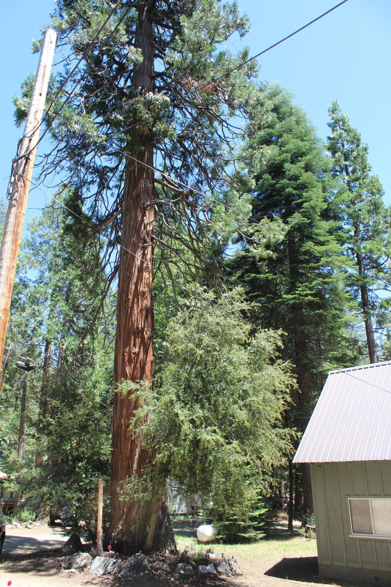 565 Trails End, Springville, CA 93265