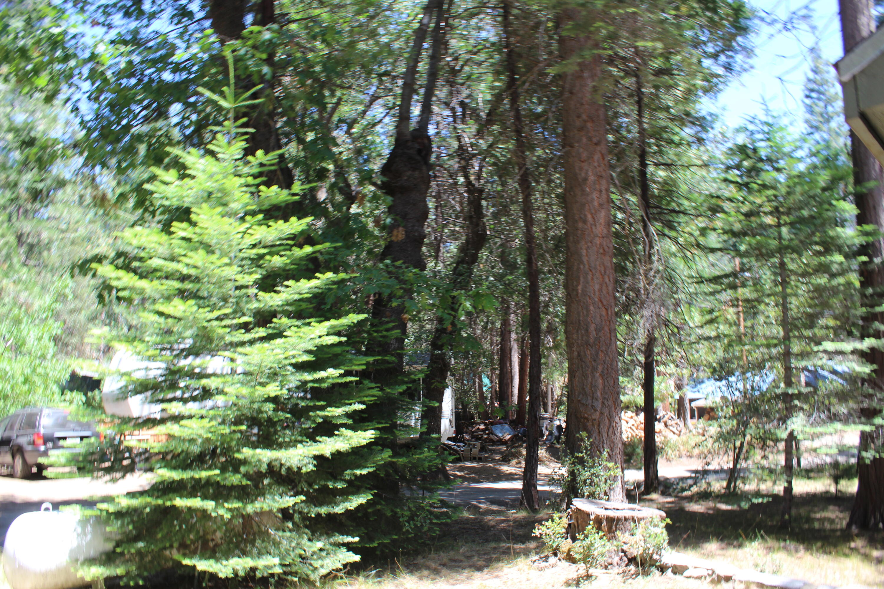 565 Trails End, Springville, CA 93265