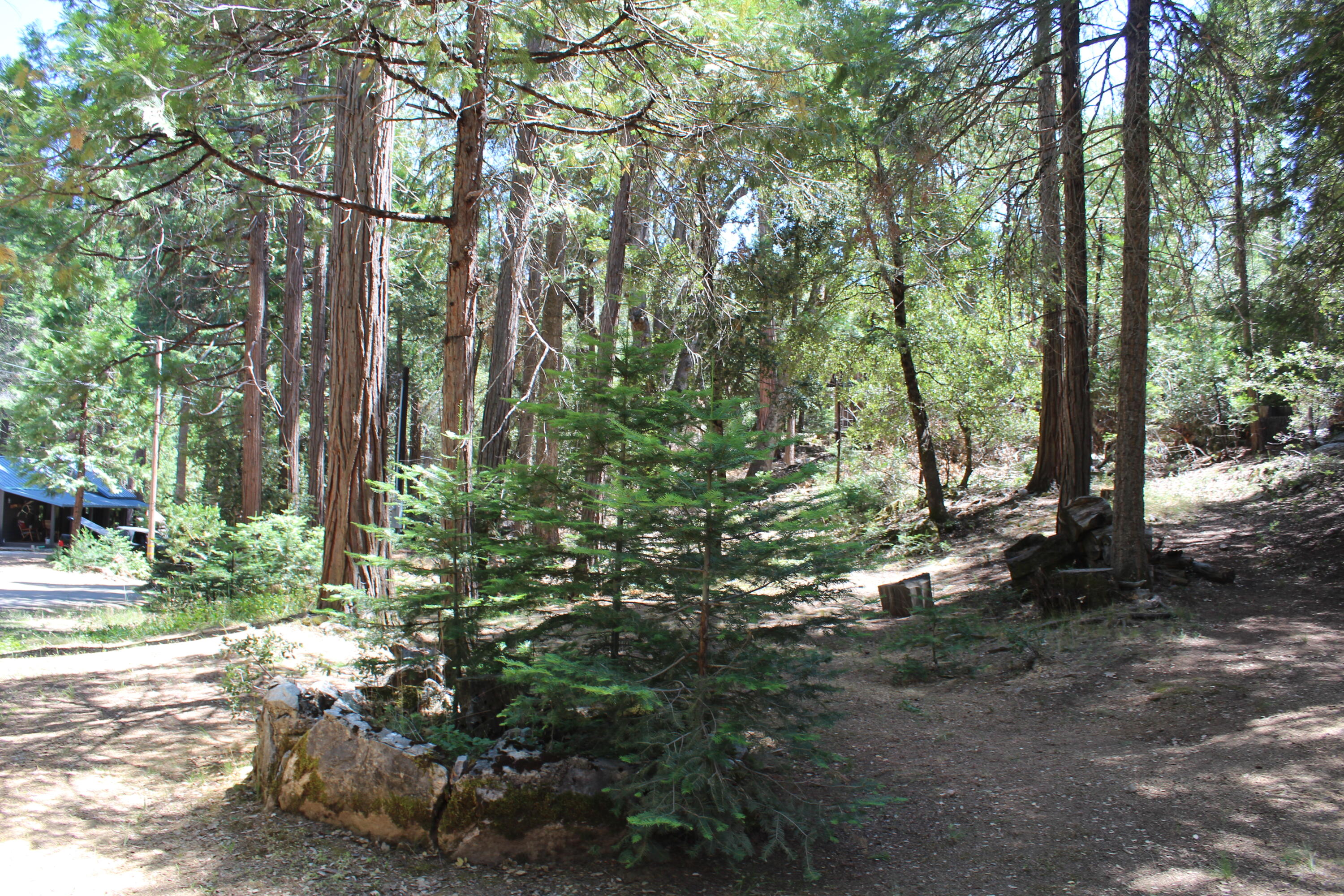 565 Trails End, Springville, CA 93265