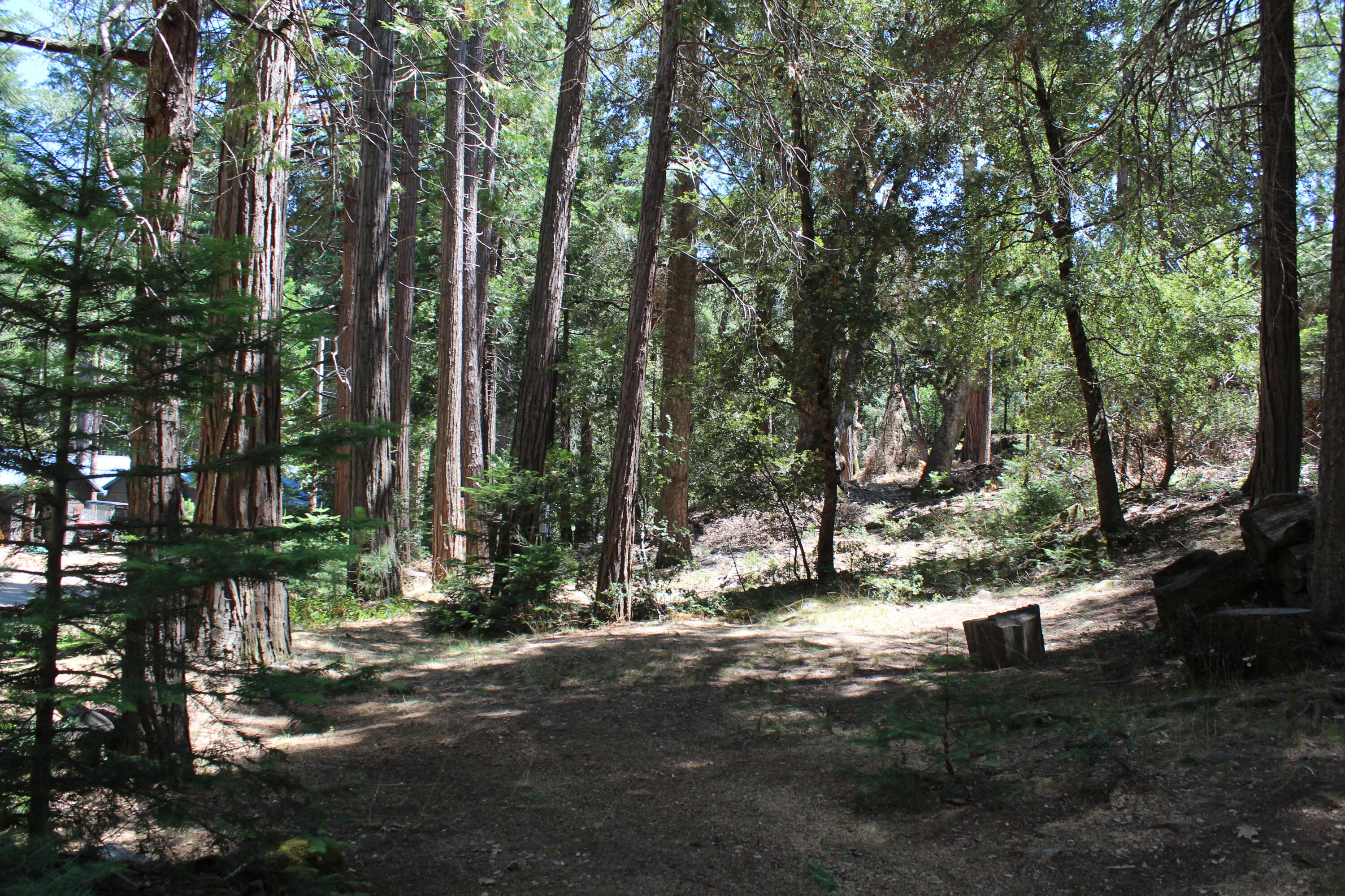 565 Trails End, Springville, CA 93265