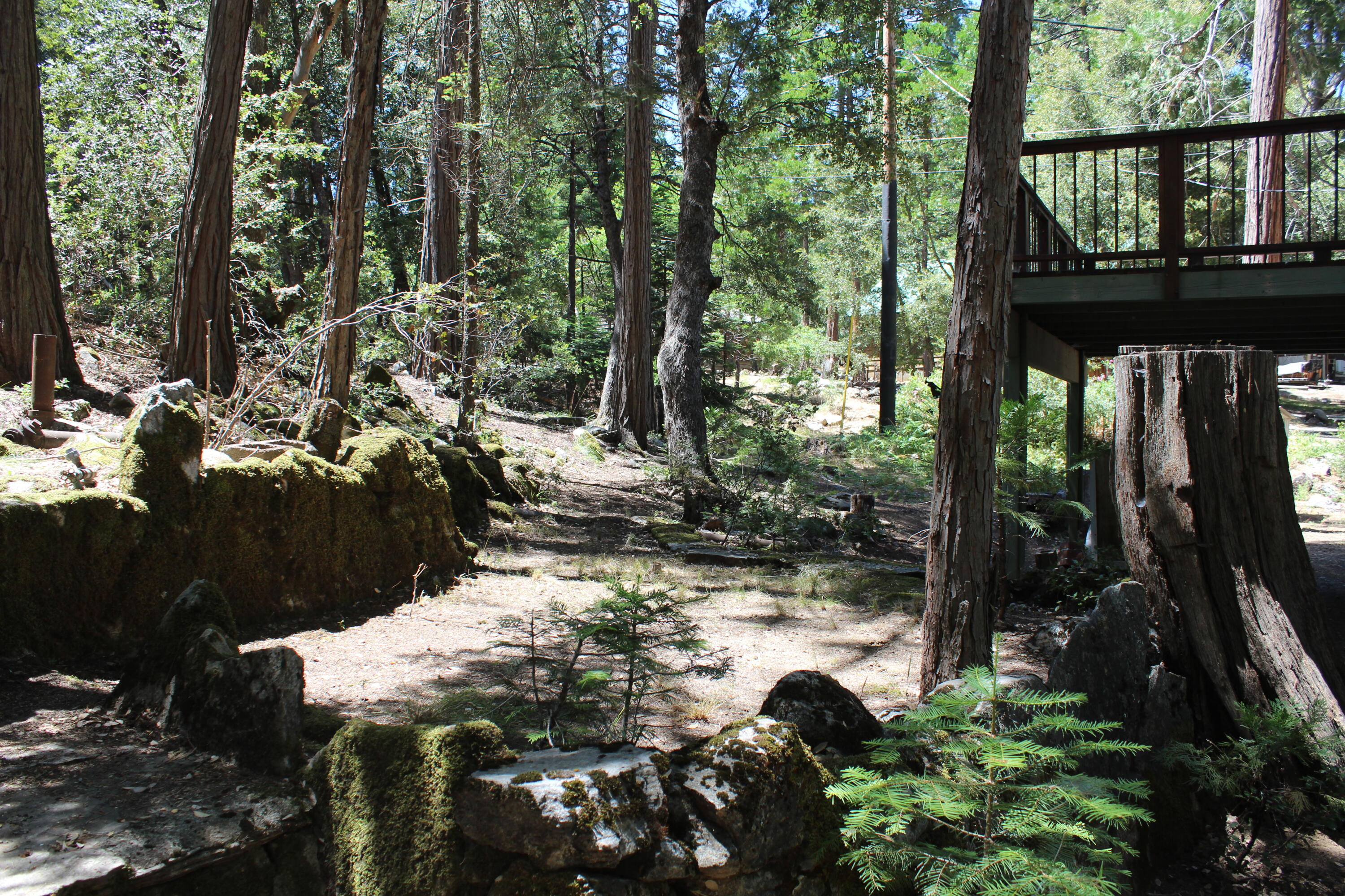 565 Trails End, Springville, CA 93265