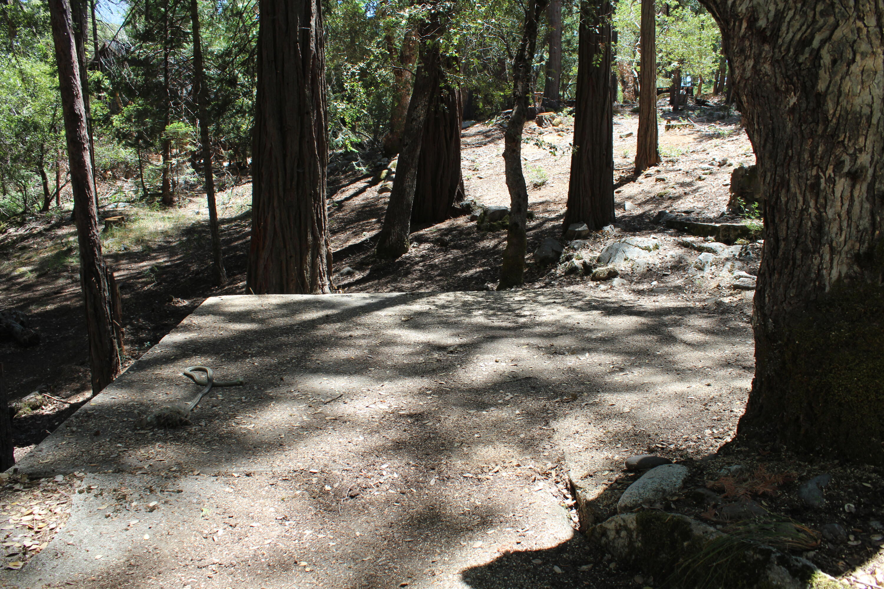 565 Trails End, Springville, CA 93265