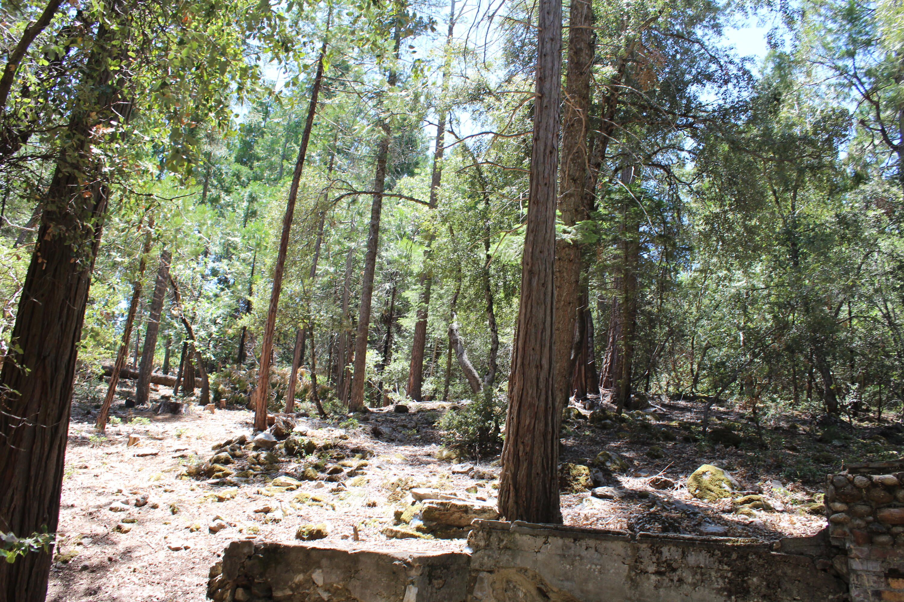 565 Trails End, Springville, CA 93265