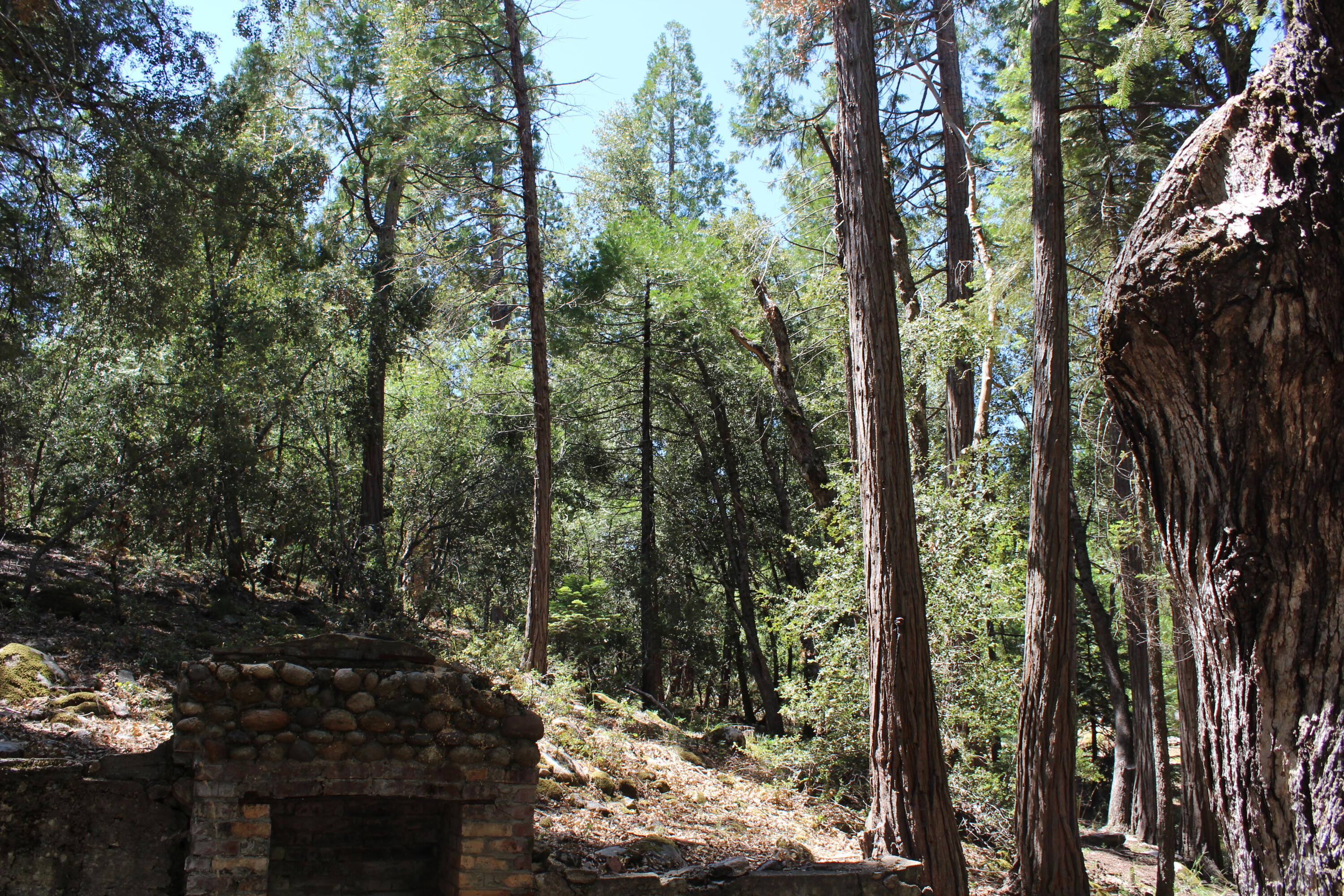 565 Trails End, Springville, CA 93265