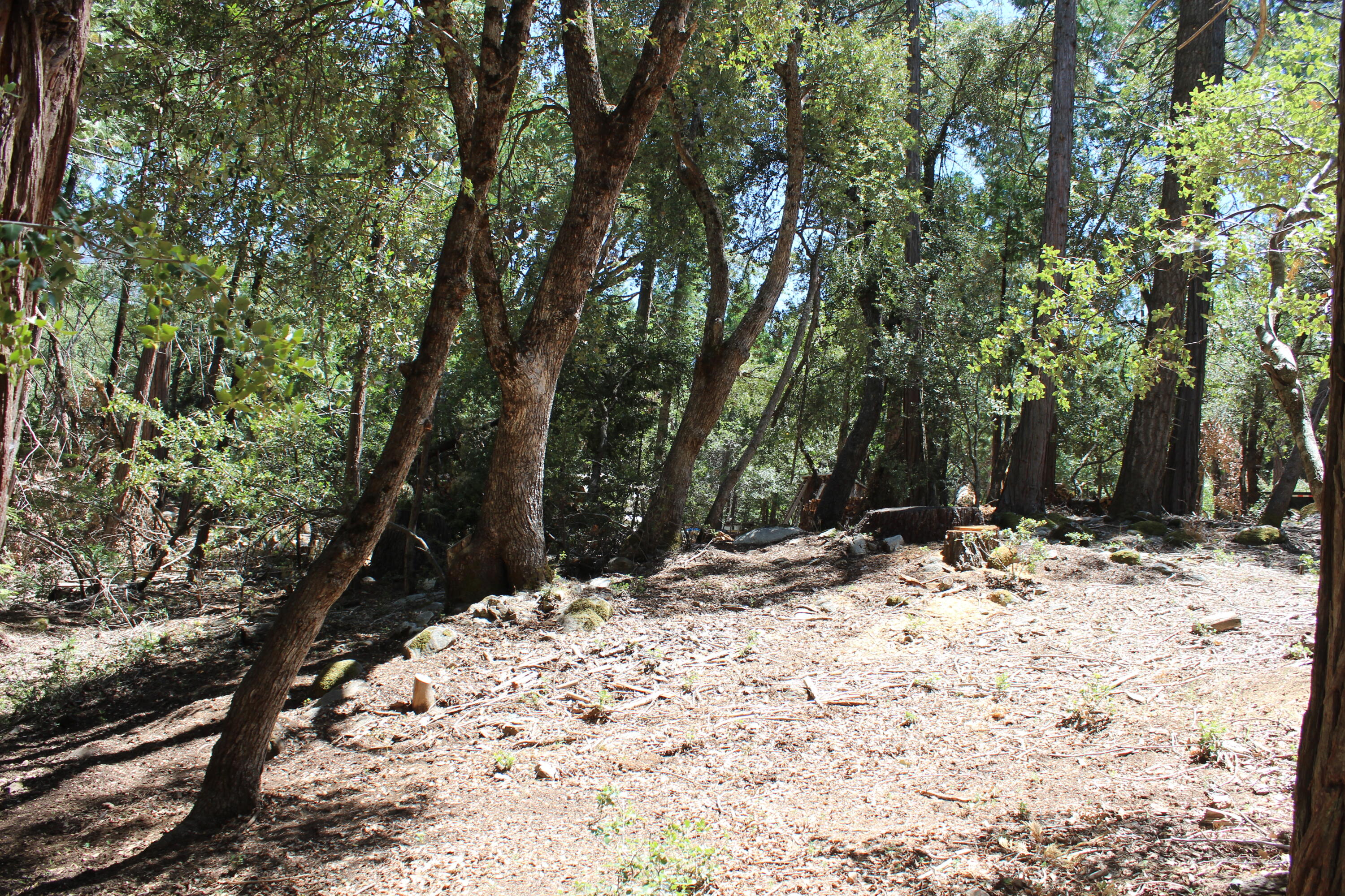 565 Trails End, Springville, CA 93265
