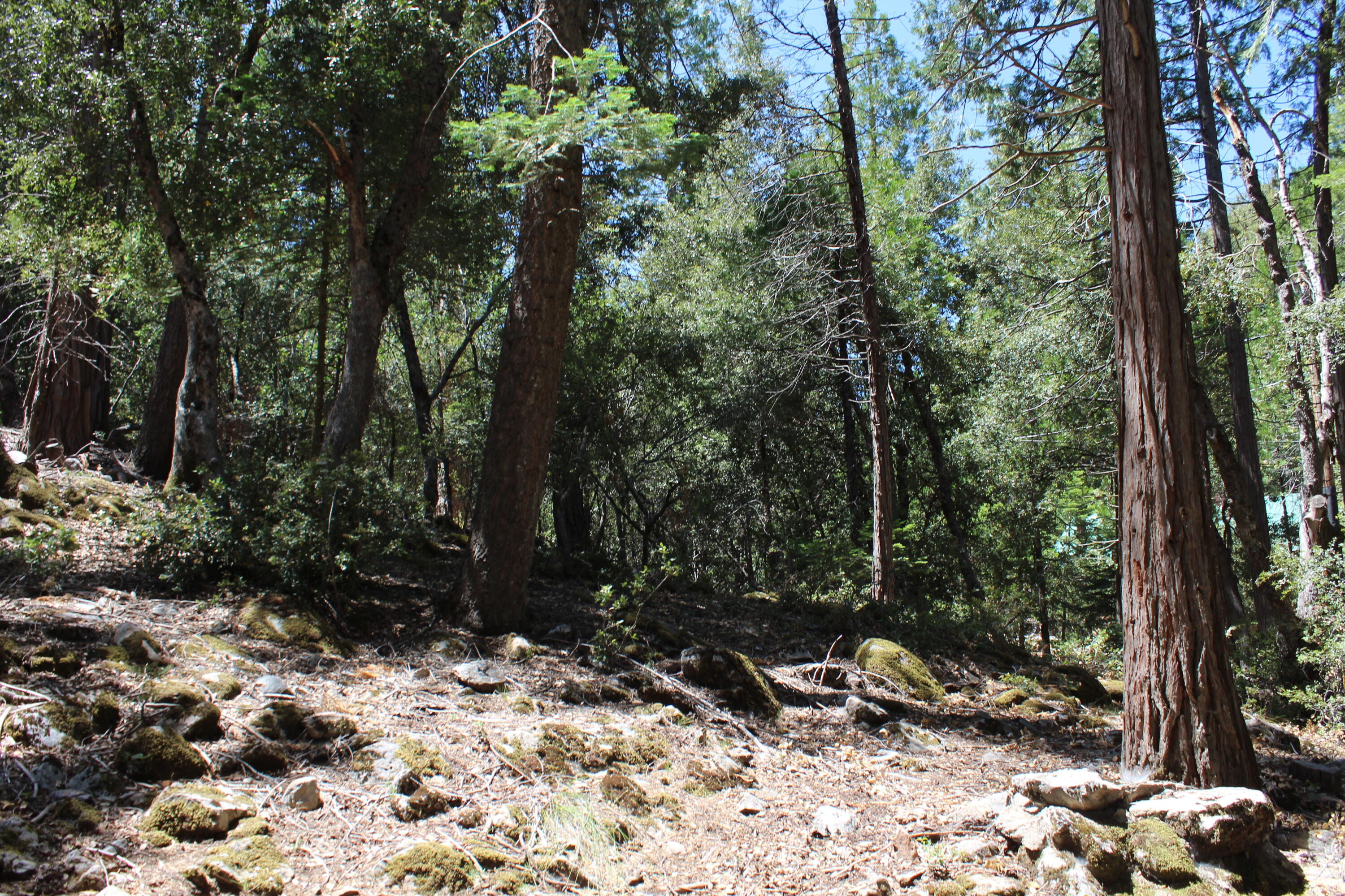 565 Trails End, Springville, CA 93265
