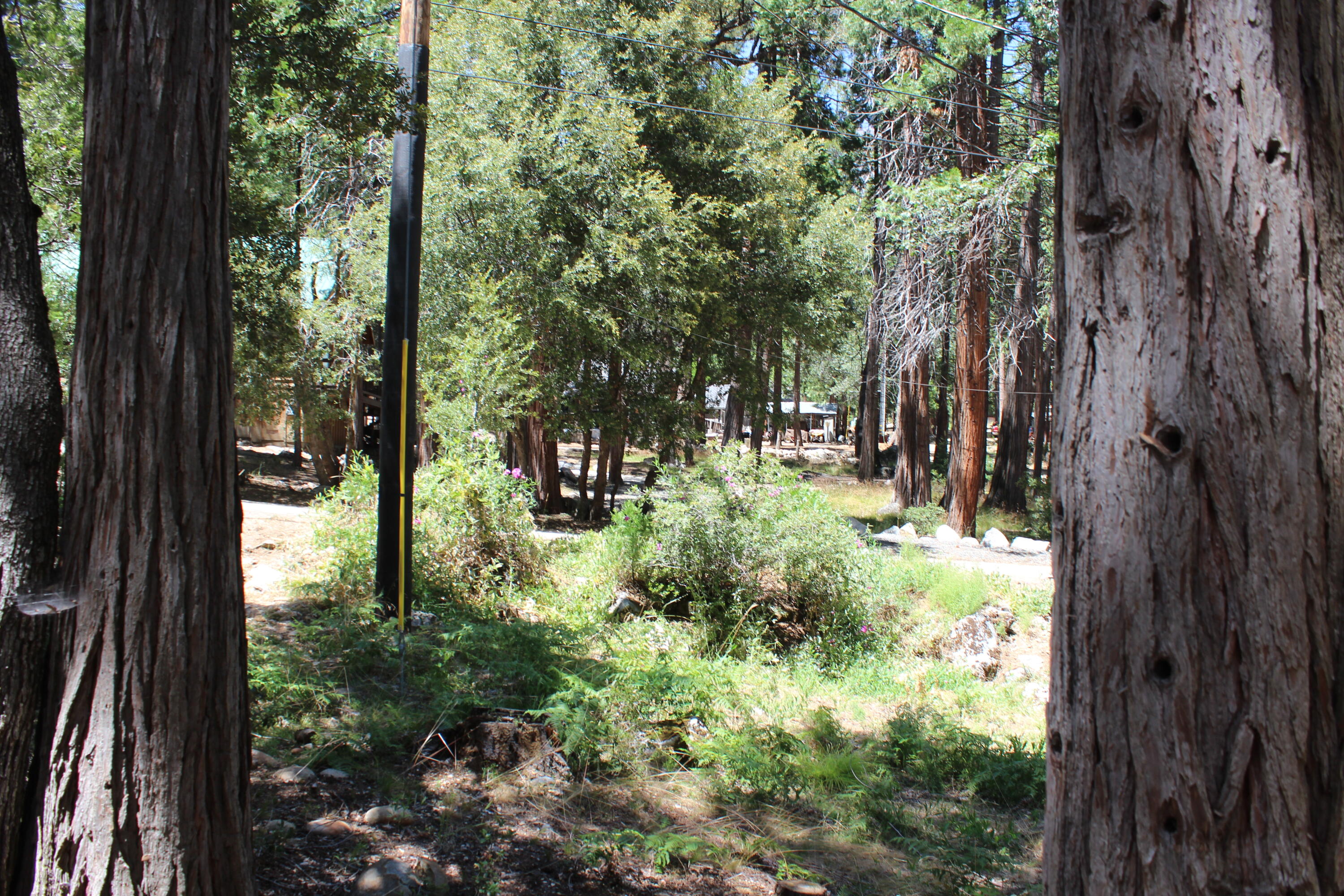 565 Trails End, Springville, CA 93265