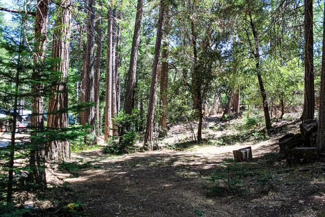 565 Trails End, Springville, CA 93265