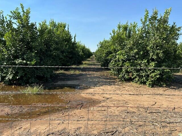 0 Hemlock Ave, Porterville, CA 93257