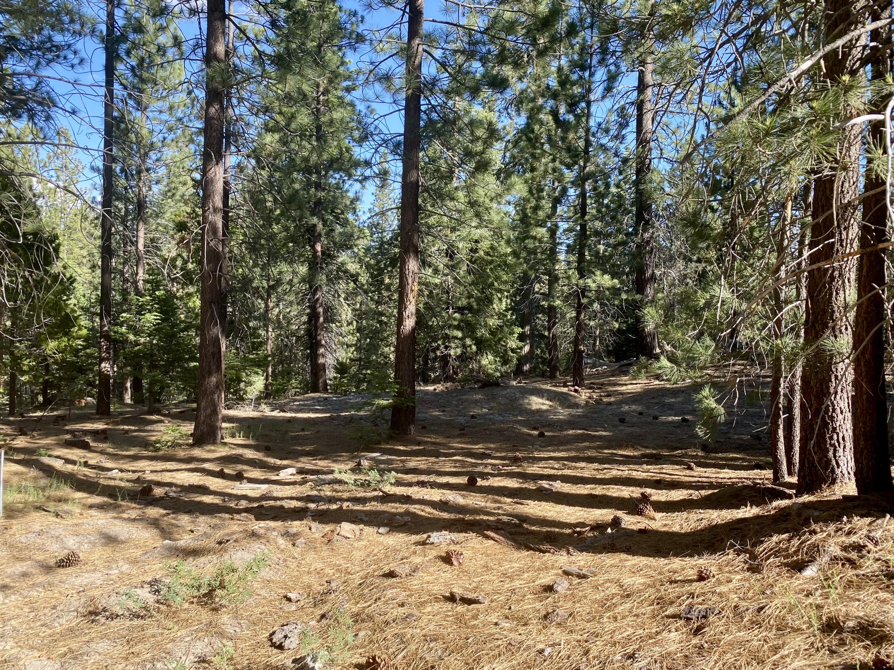 57600 Crest Dr, Springville, CA 93265