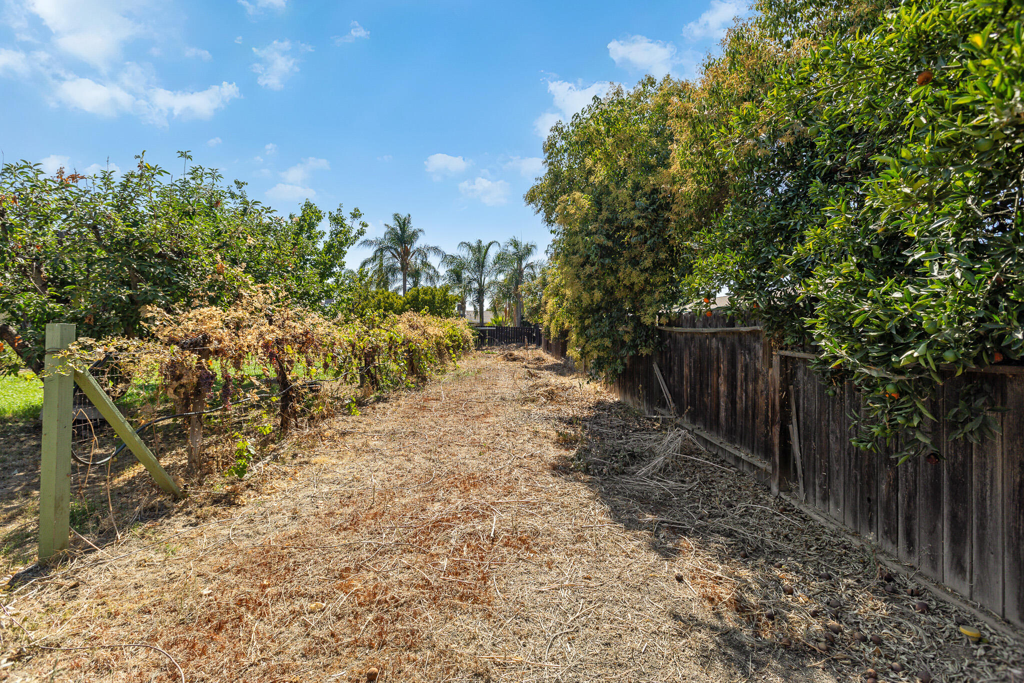 1660 W Gerry Ct, Porterville, CA 93257