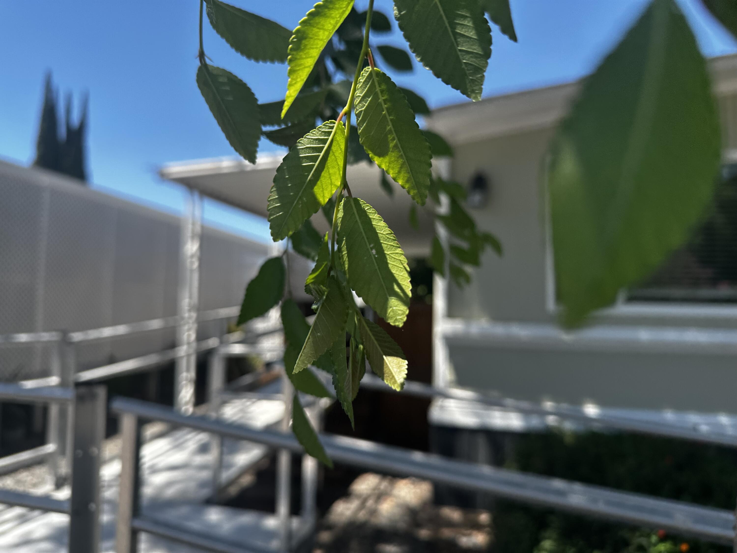 415 N Akers St #45, Visalia, CA 93291