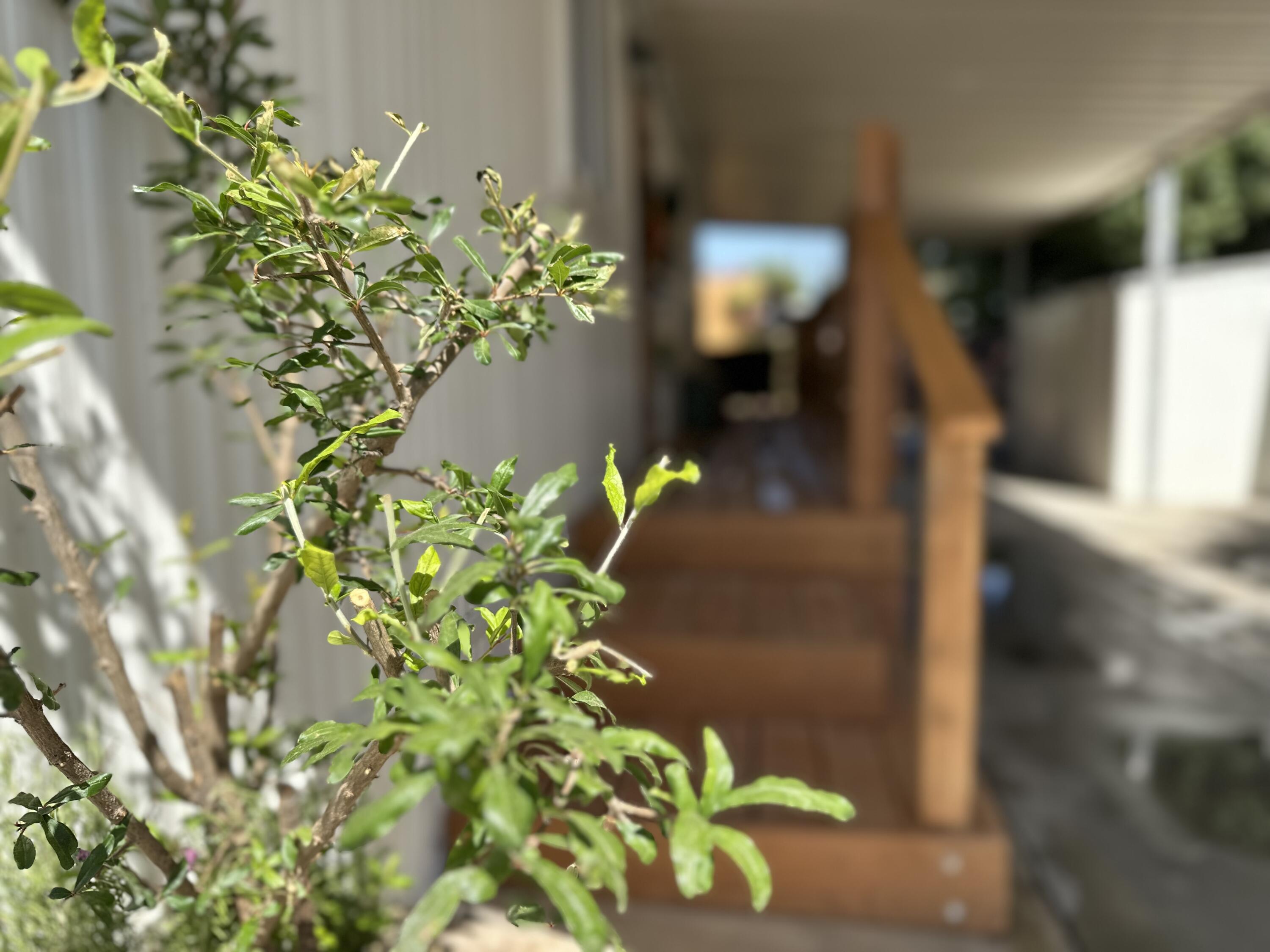 225 N Akers St #308, Visalia, CA 93291