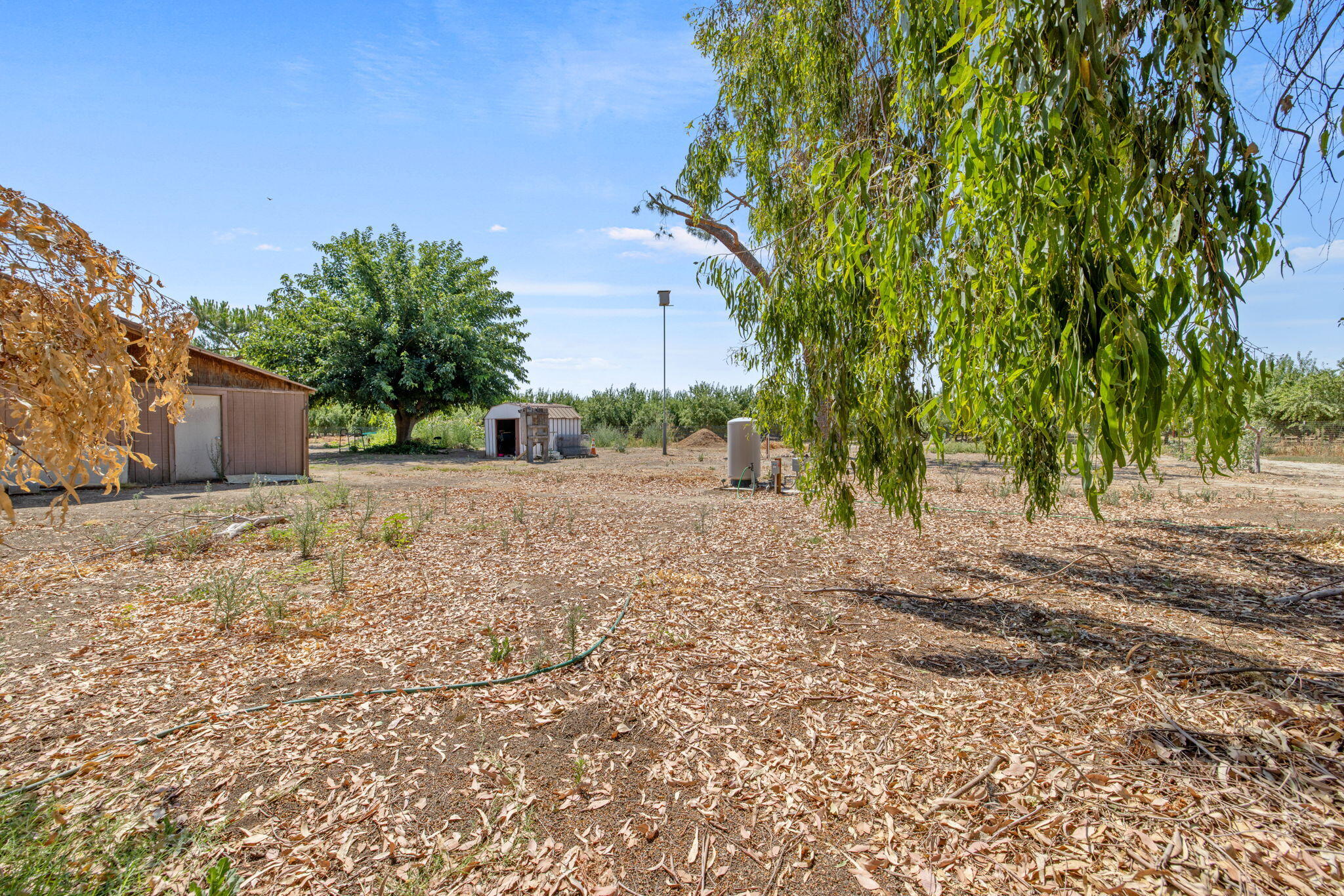 16565 Lacey Blvd, Lemoore, CA 93245