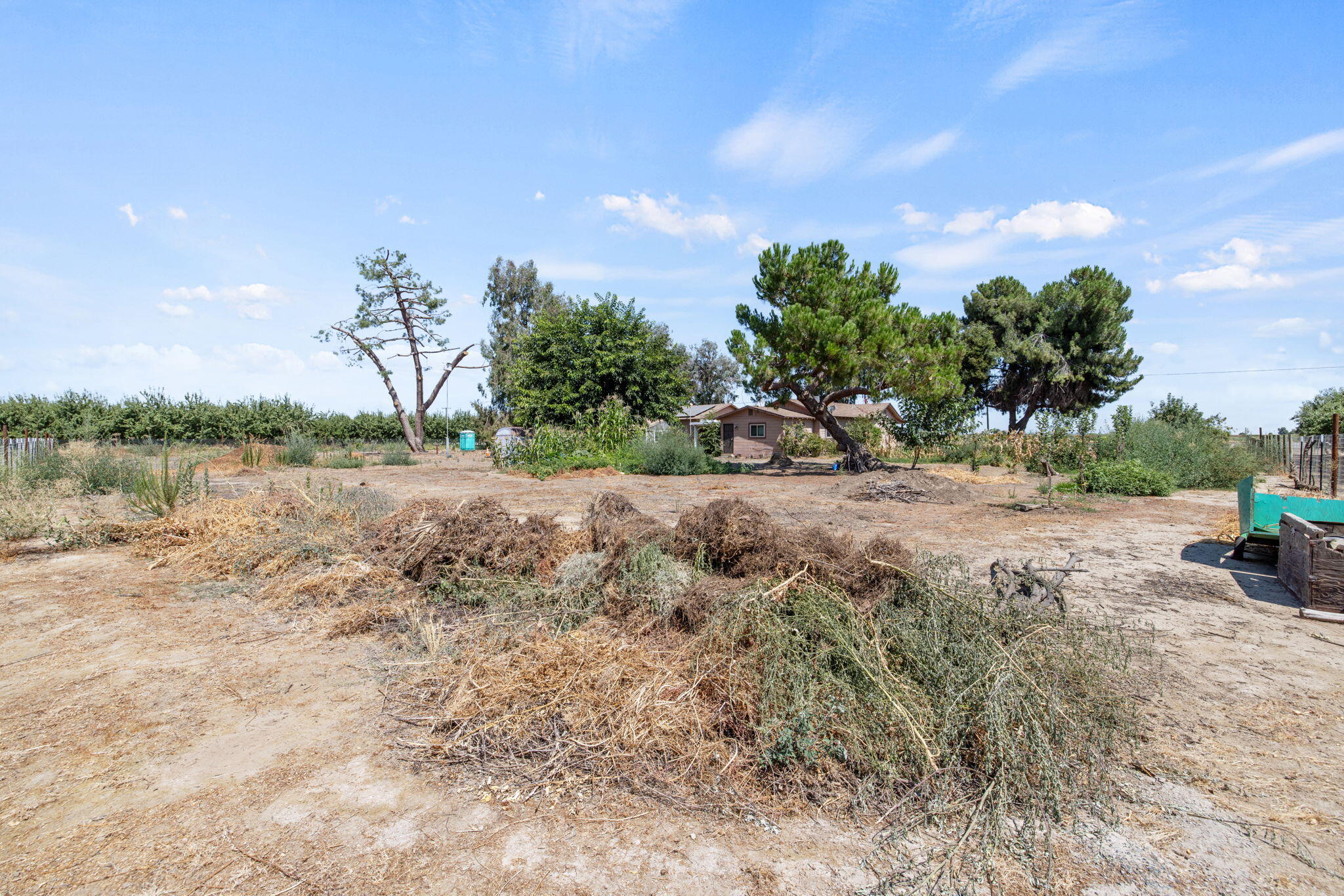 16565 Lacey Blvd, Lemoore, CA 93245