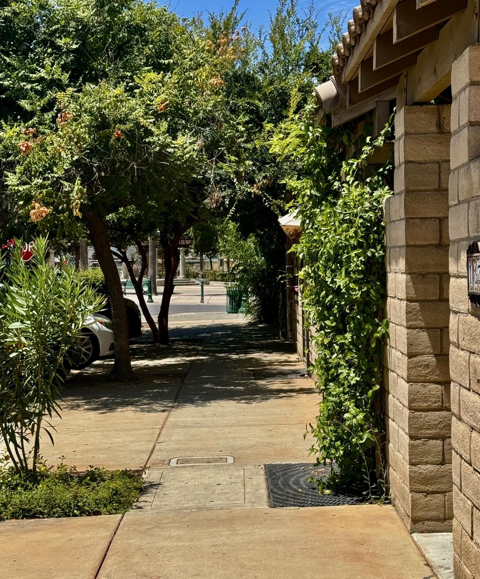 169 W Samoa St, Lindsay, CA 93247