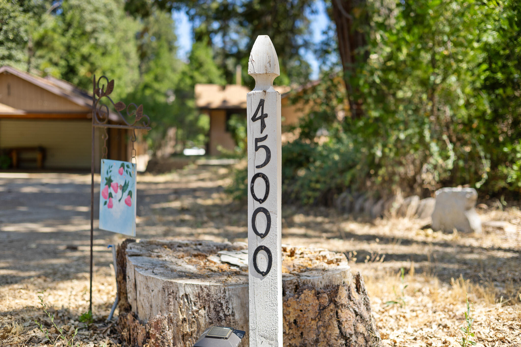 45000 Manter Meadow Rd, California Hot Springs, CA 93207