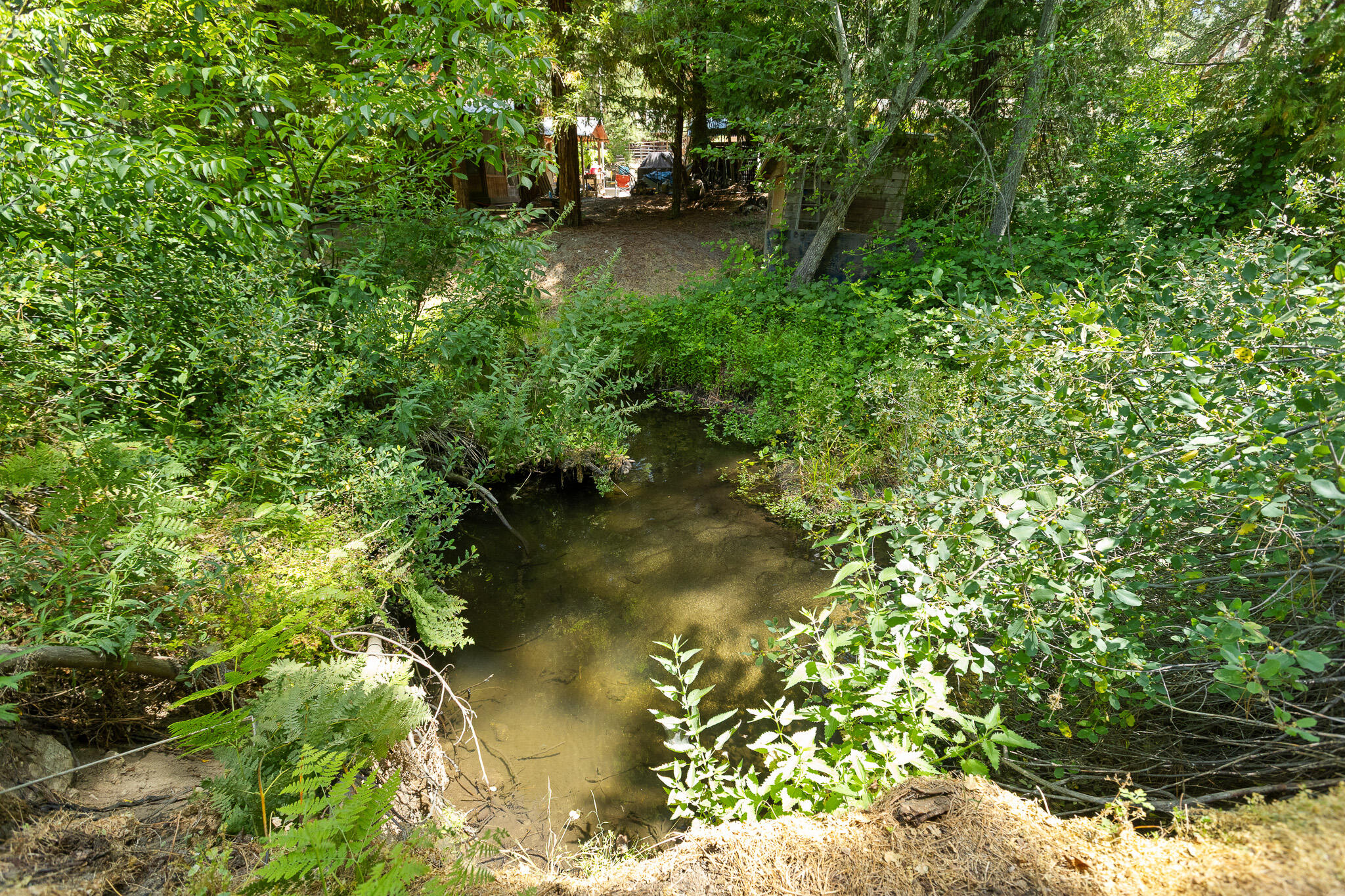 45000 Manter Meadow Rd, California Hot Springs, CA 93207