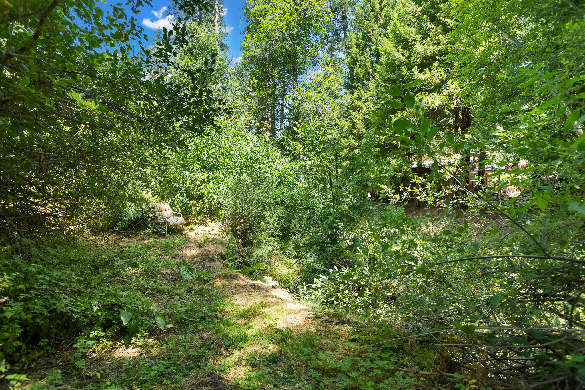 45000 Manter Meadow Rd, California Hot Springs, CA 93207