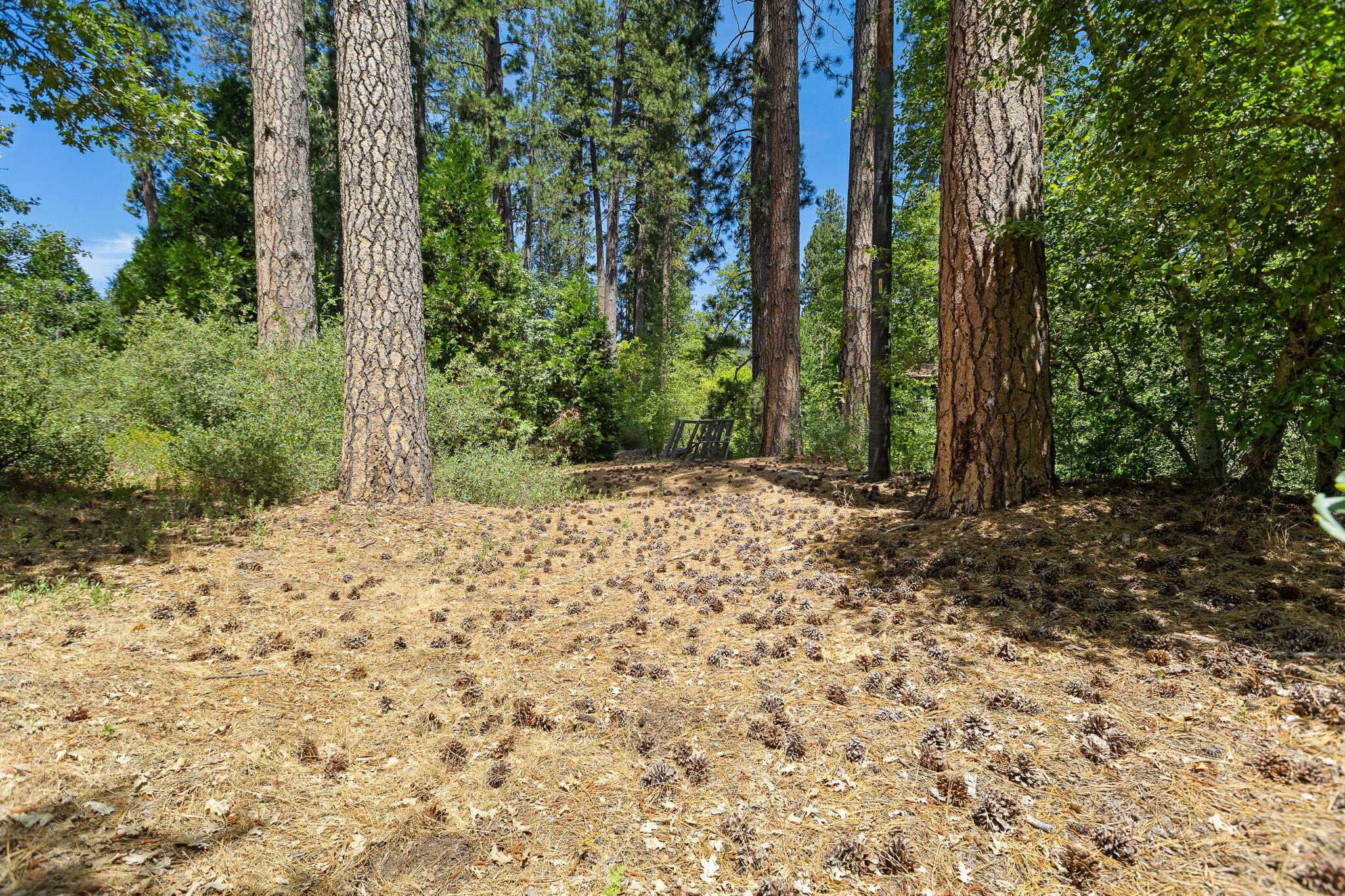 45000 Manter Meadow Rd, California Hot Springs, CA 93207