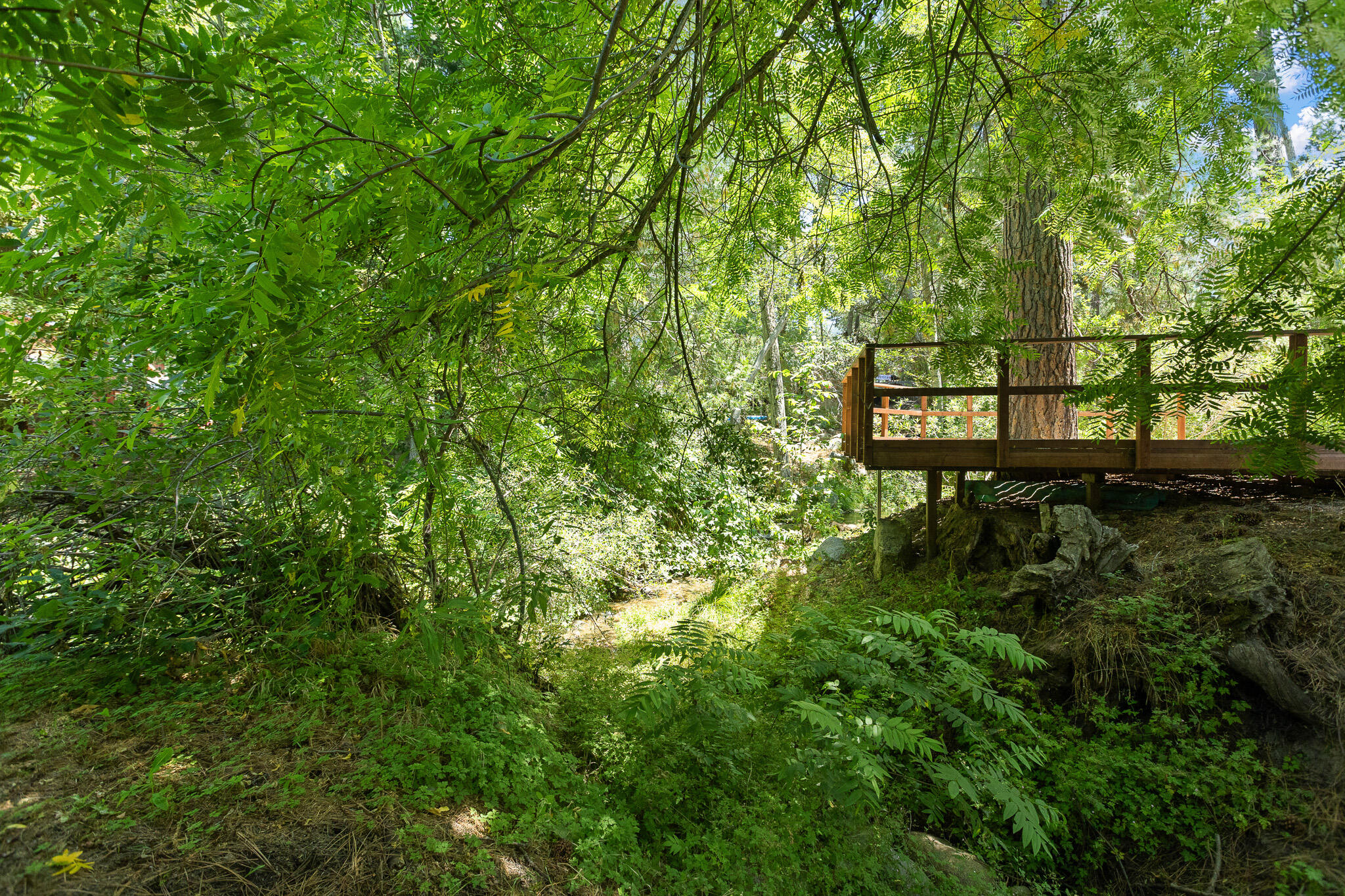 45000 Manter Meadow Rd, California Hot Springs, CA 93207