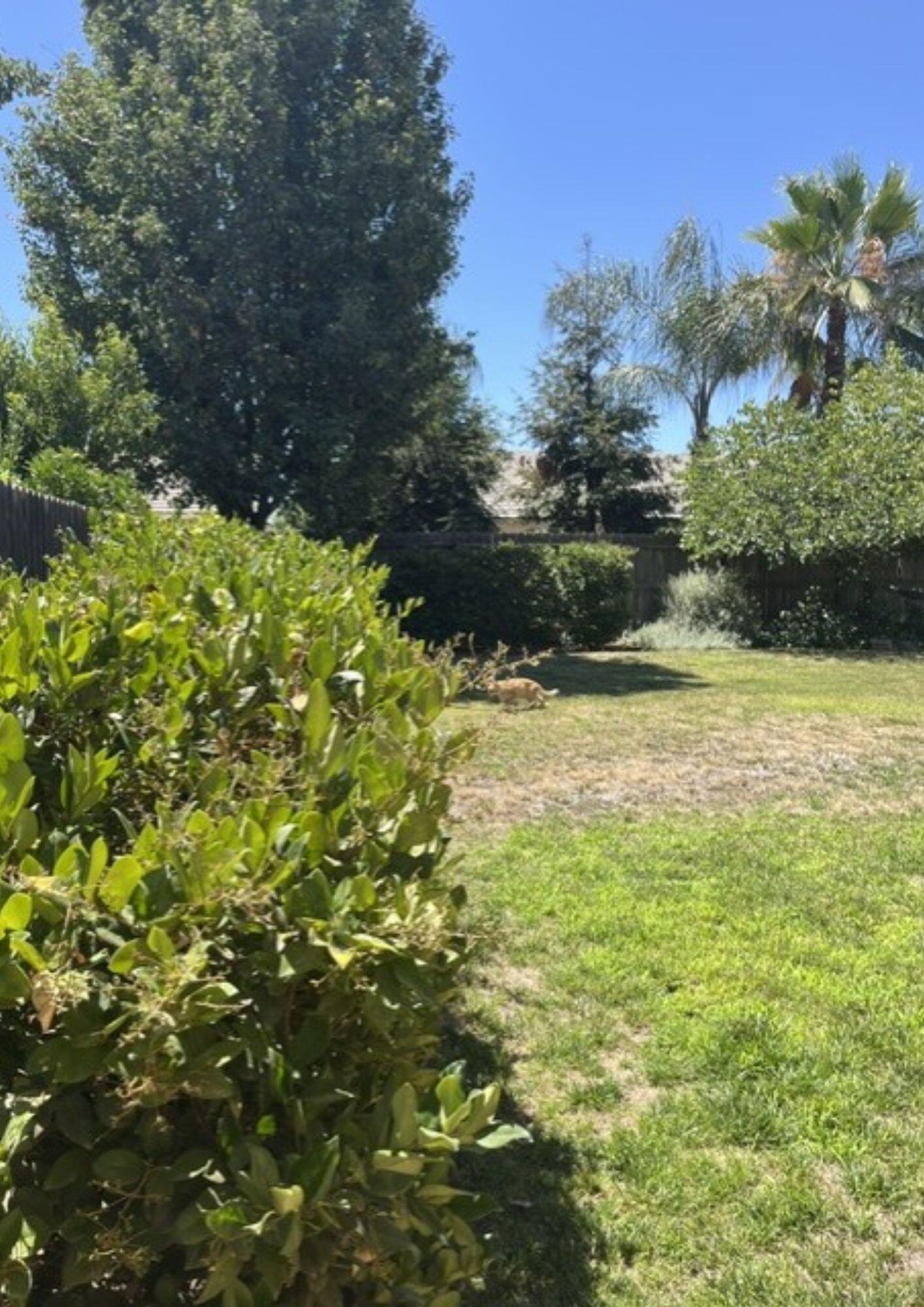 3537 W Delaware Ct, Visalia, CA 93291