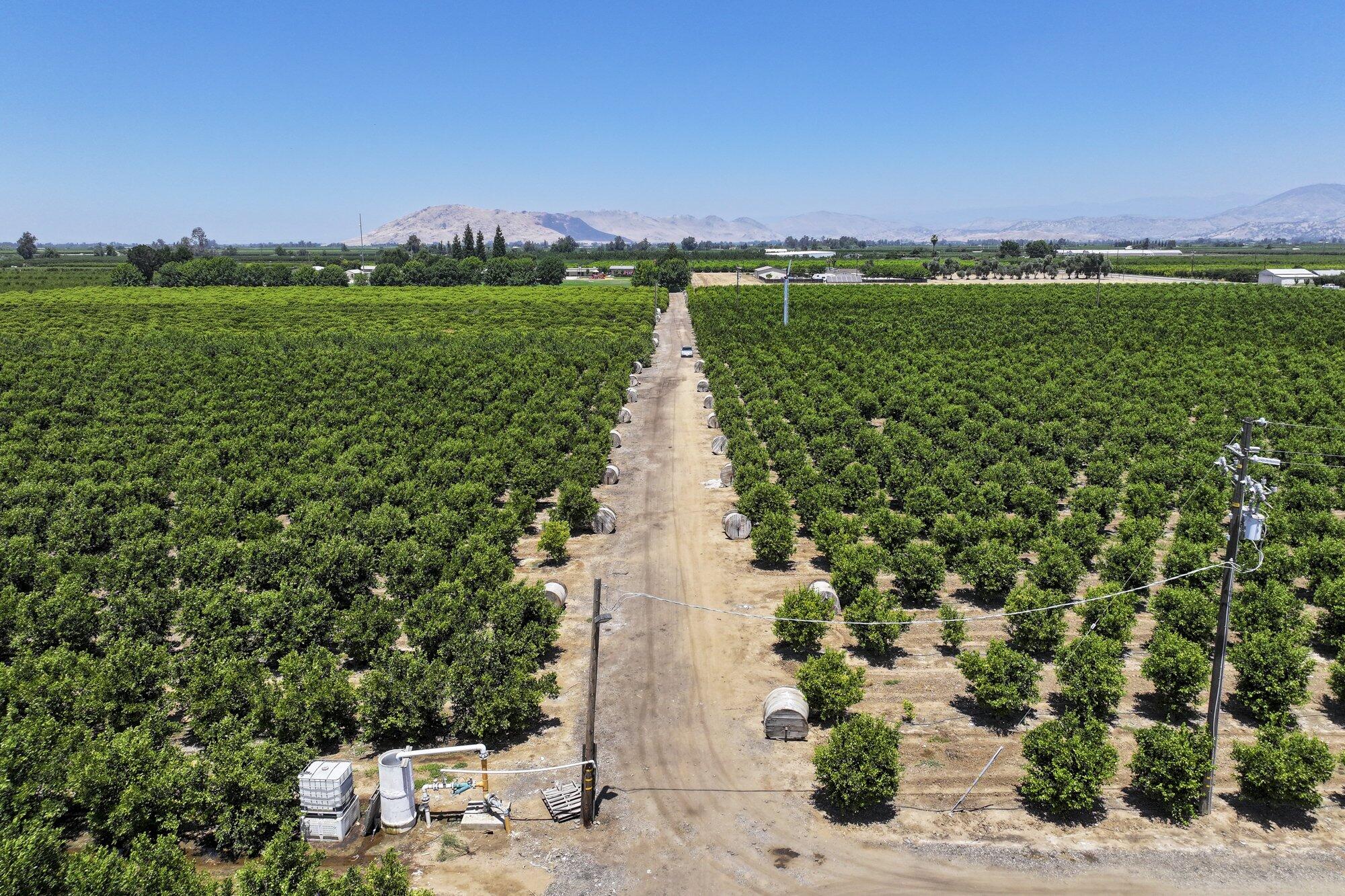 21868 E Manning Ave, Reedley, CA 93654