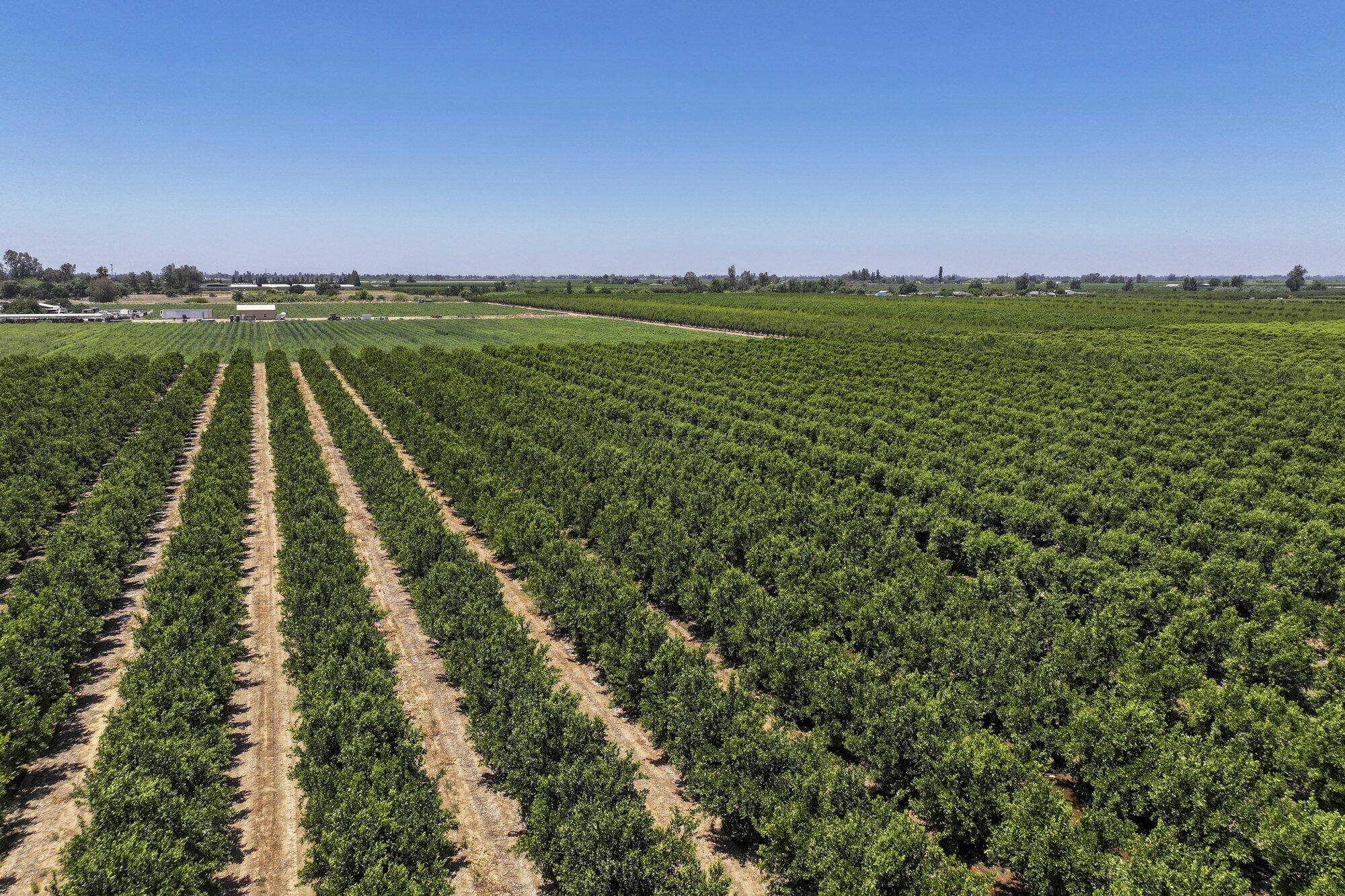 21868 E Manning Ave, Reedley, CA 93654