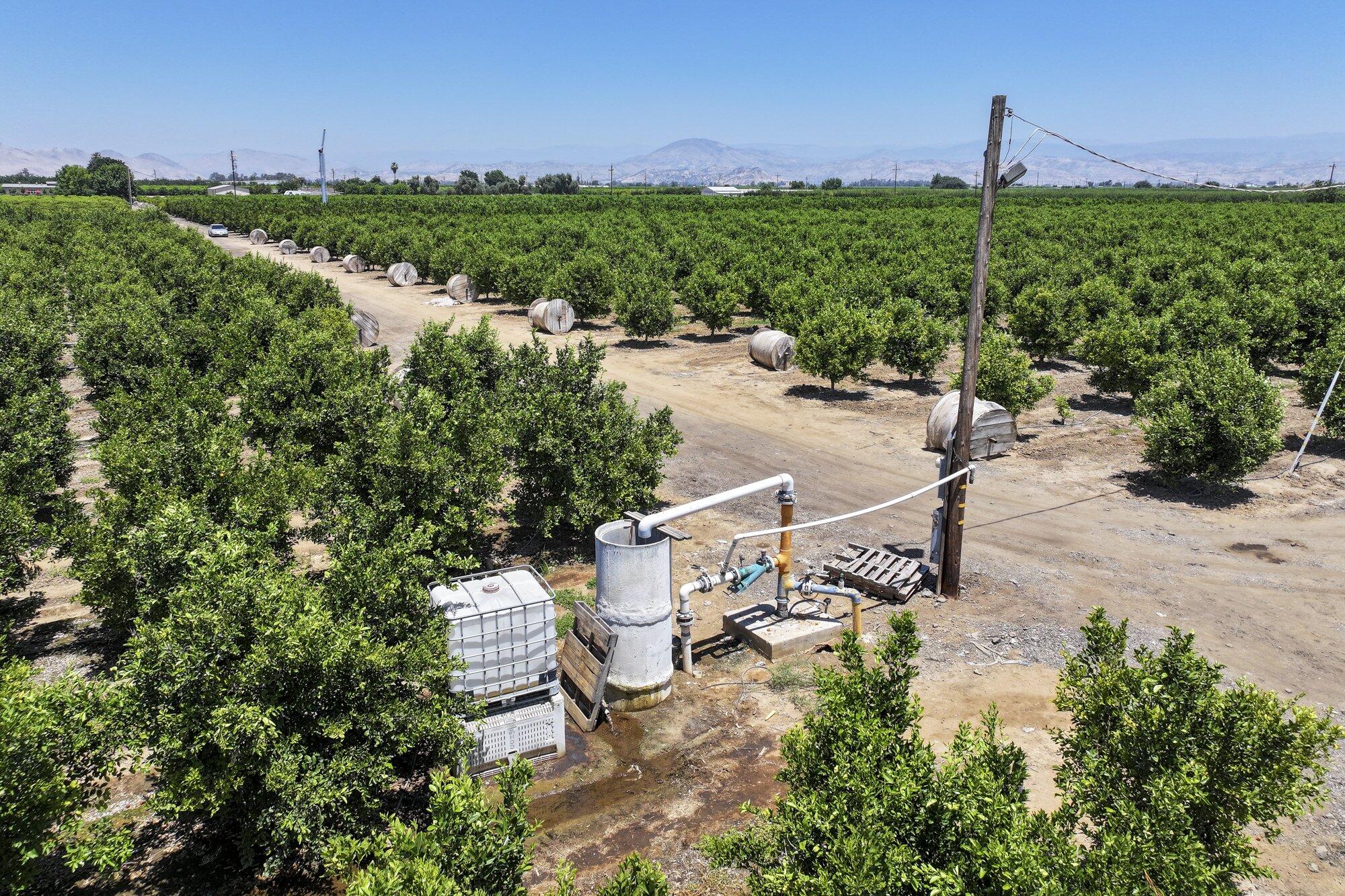 21868 E Manning Ave, Reedley, CA 93654