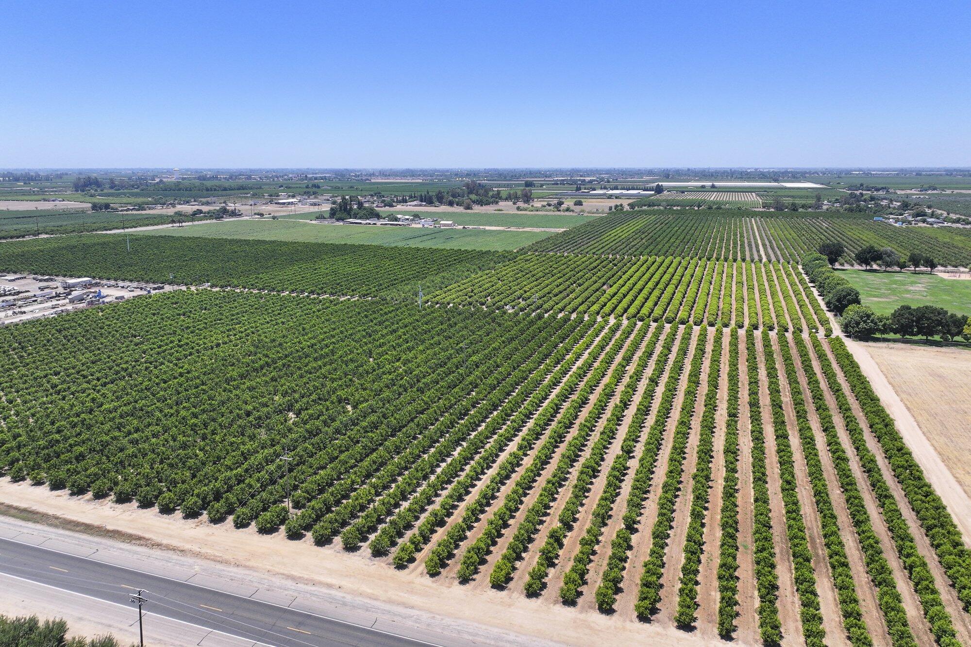21868 E Manning Ave, Reedley, CA 93654