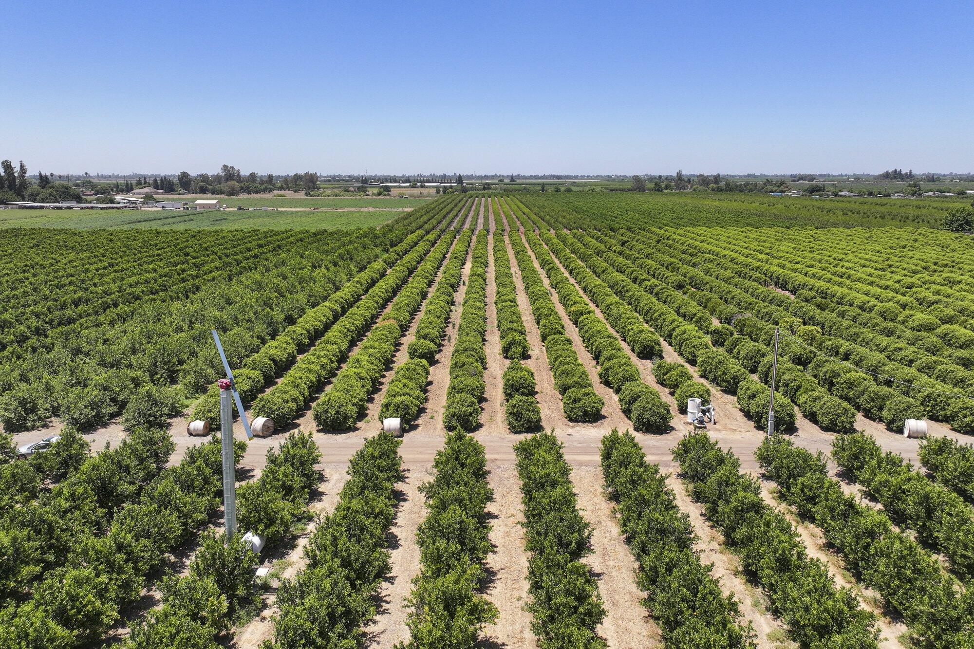 21868 E Manning Ave, Reedley, CA 93654