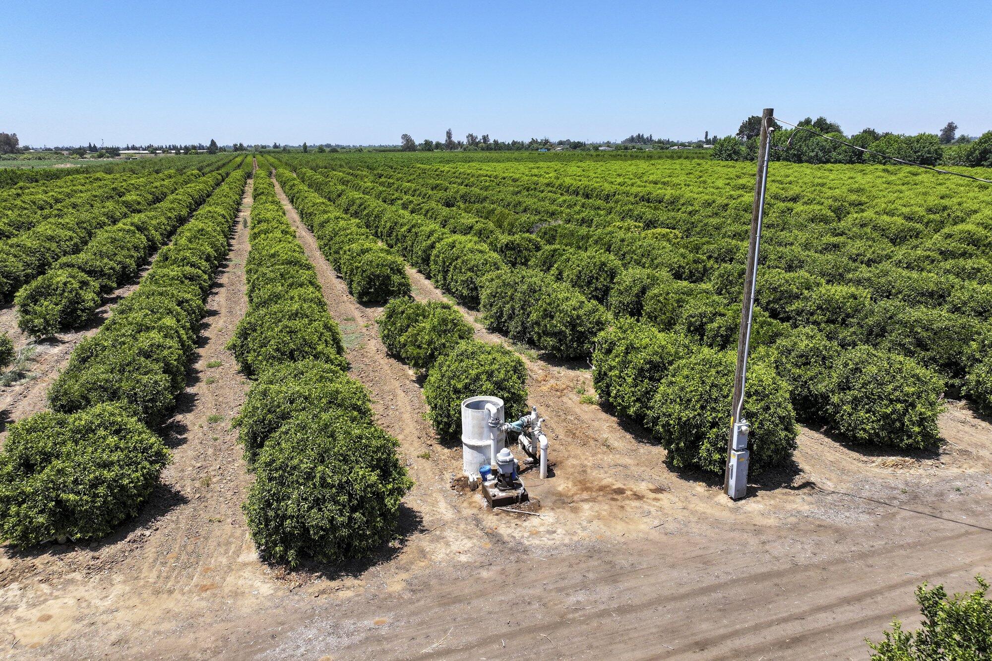 21868 E Manning Ave, Reedley, CA 93654