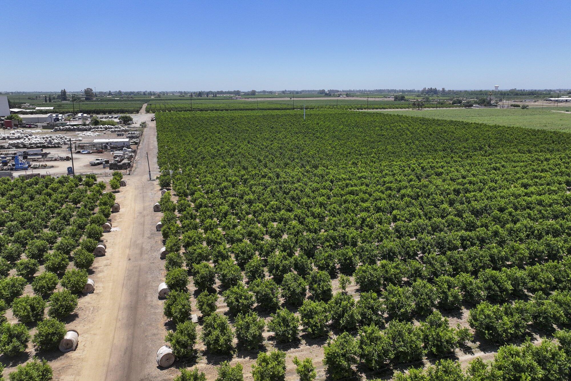 21868 E Manning Ave, Reedley, CA 93654