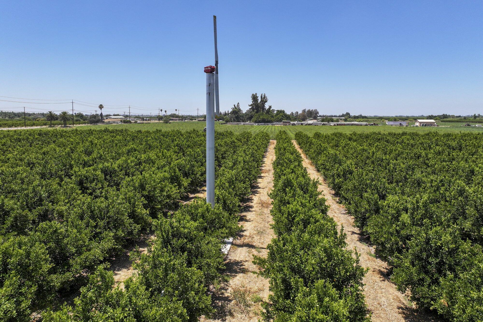 21868 E Manning Ave, Reedley, CA 93654