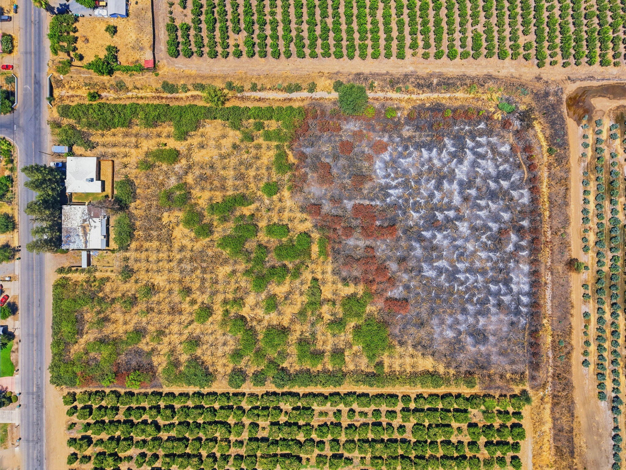 1098 N Foothill, Lindsay, CA 93247