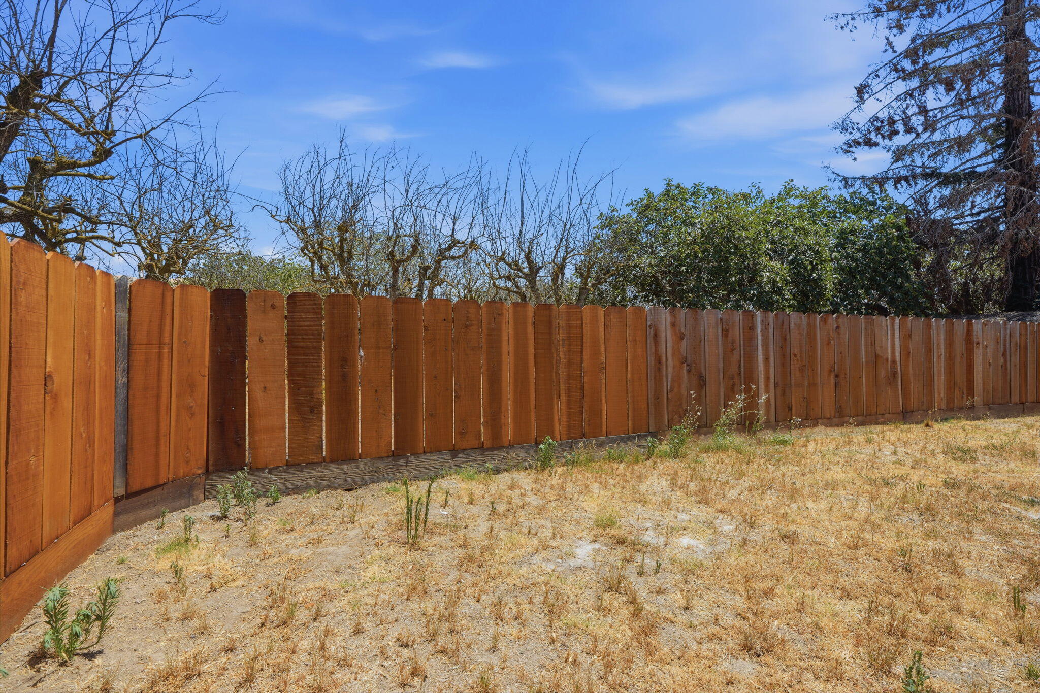 1098 N Foothill, Lindsay, CA 93247