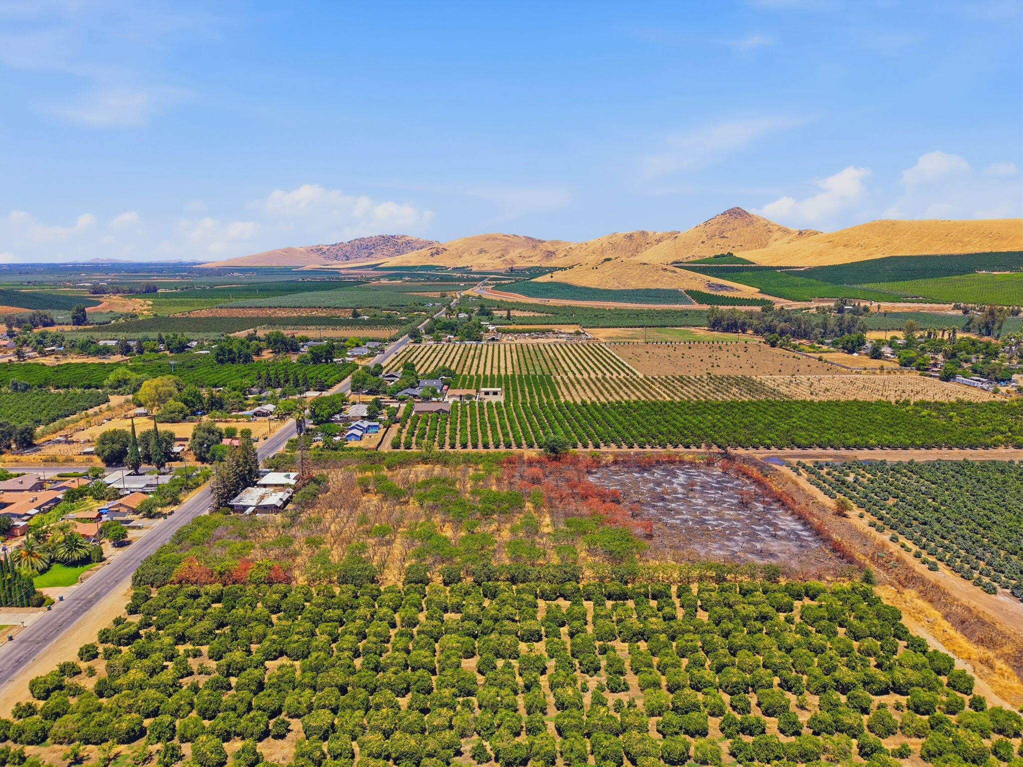 1098 N Foothill, Lindsay, CA 93247