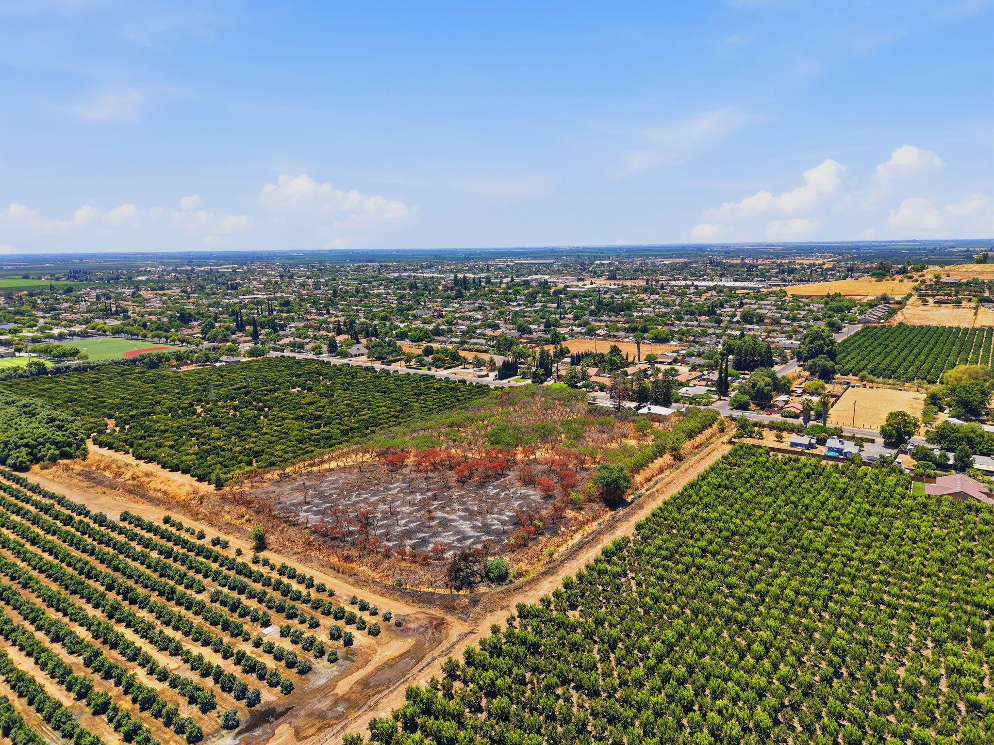 1098 N Foothill, Lindsay, CA 93247