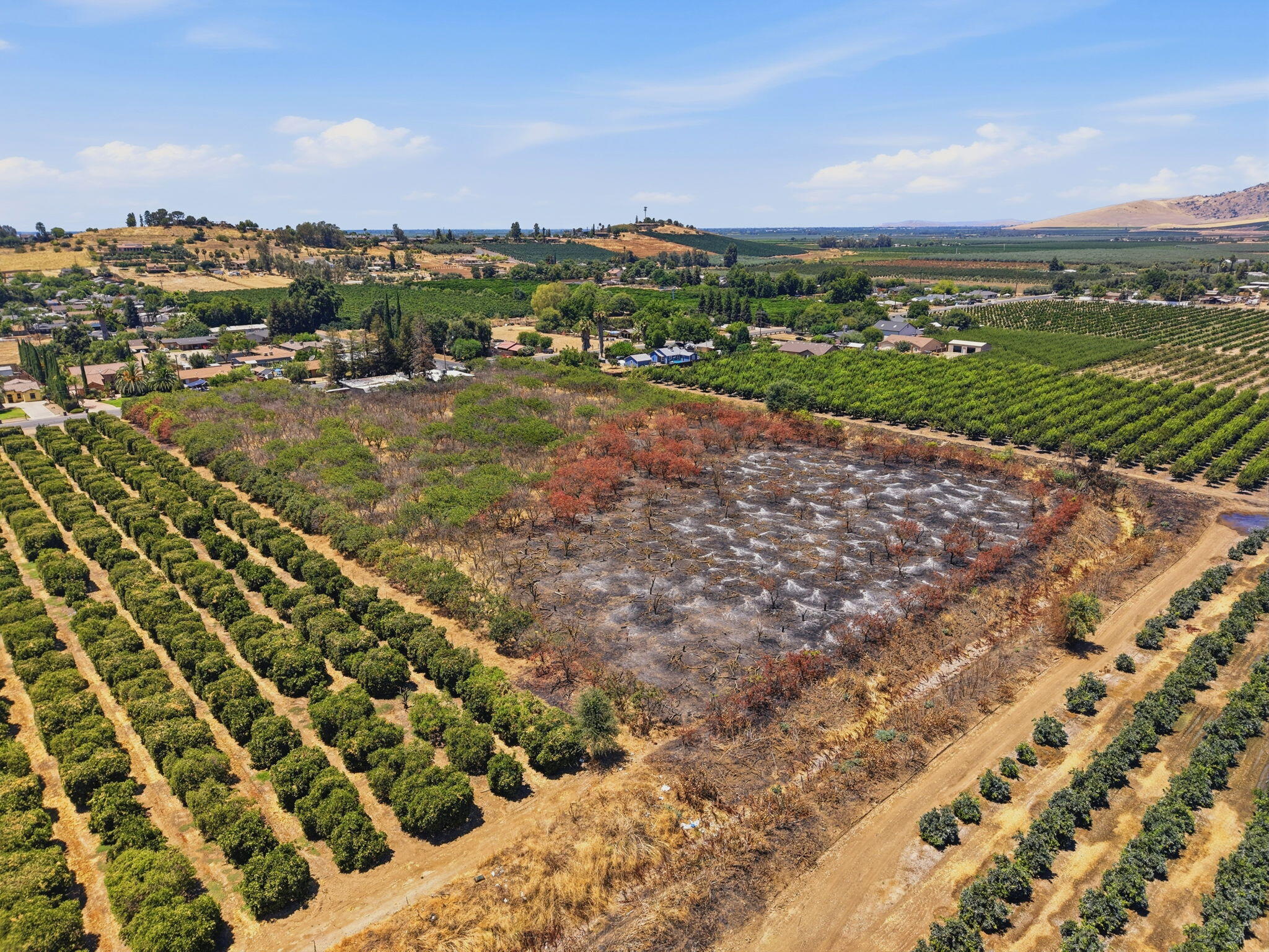 1098 N Foothill, Lindsay, CA 93247