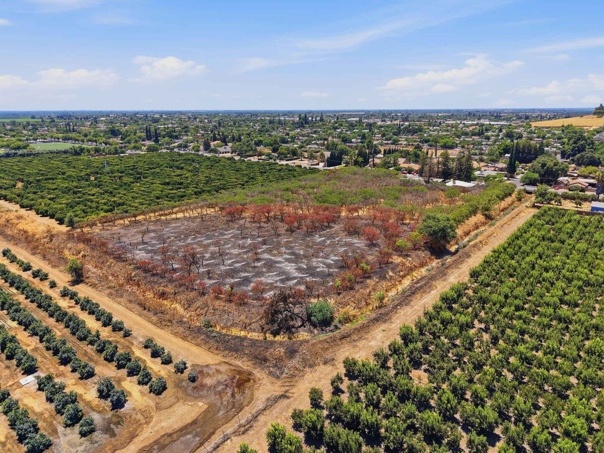 1098 N Foothill, Lindsay, CA 93247