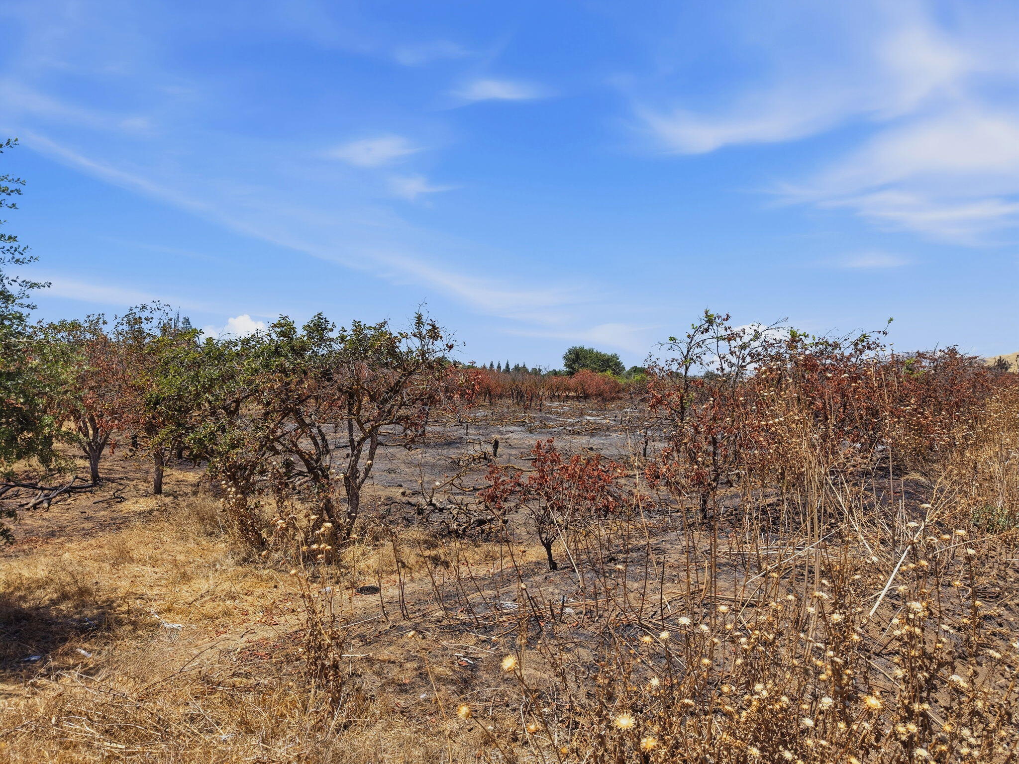 1098 N Foothill, Lindsay, CA 93247