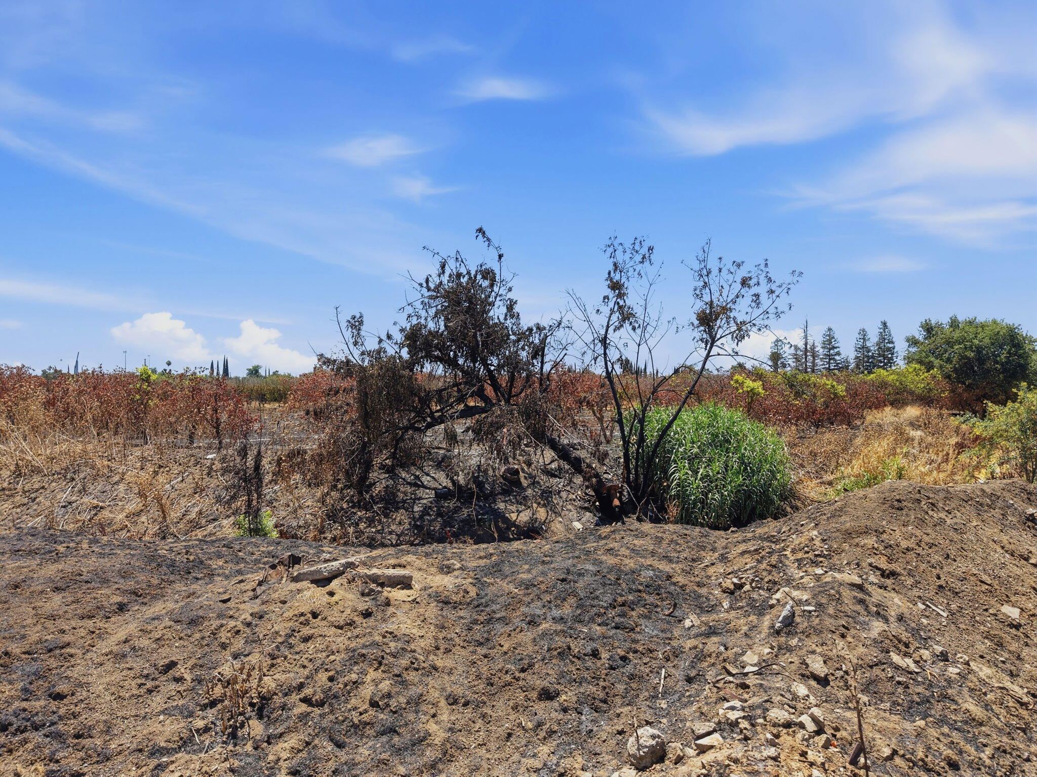 1098 N Foothill, Lindsay, CA 93247
