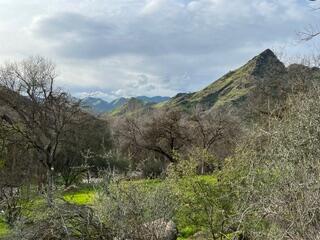 44159 Redbud Trl, Three Rivers, CA 93271