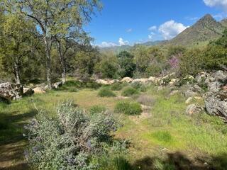 44159 Redbud Trl, Three Rivers, CA 93271