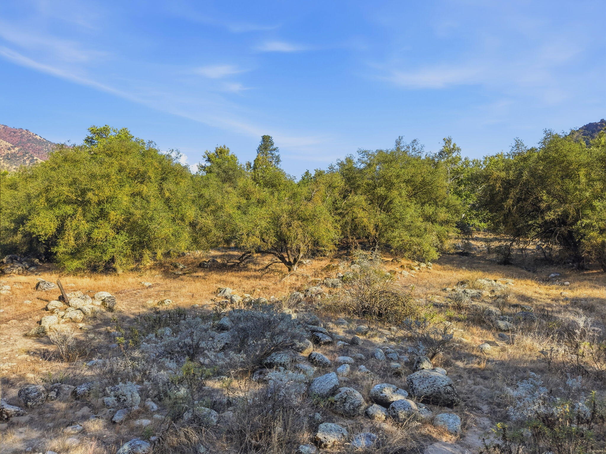 0 Redbud Trl, Three Rivers, CA 93271